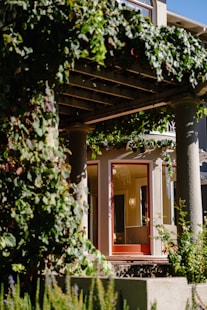 Vine-covered pergola over a doorway with red door.