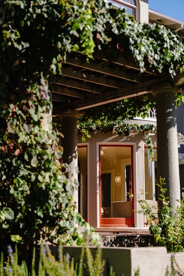 Vine-covered pergola over a doorway with red door.