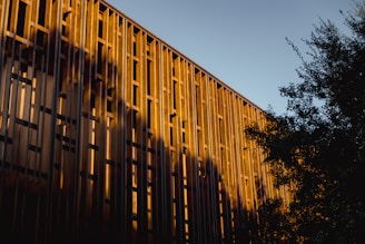 Modern building facade with warm sunset light and shadows.