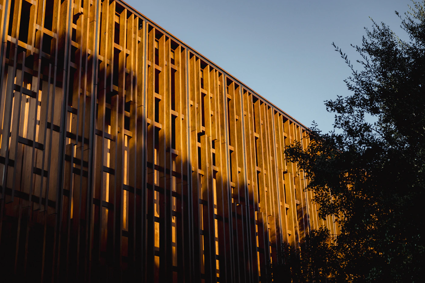 Timber screen facade catching warm late-afternoon light