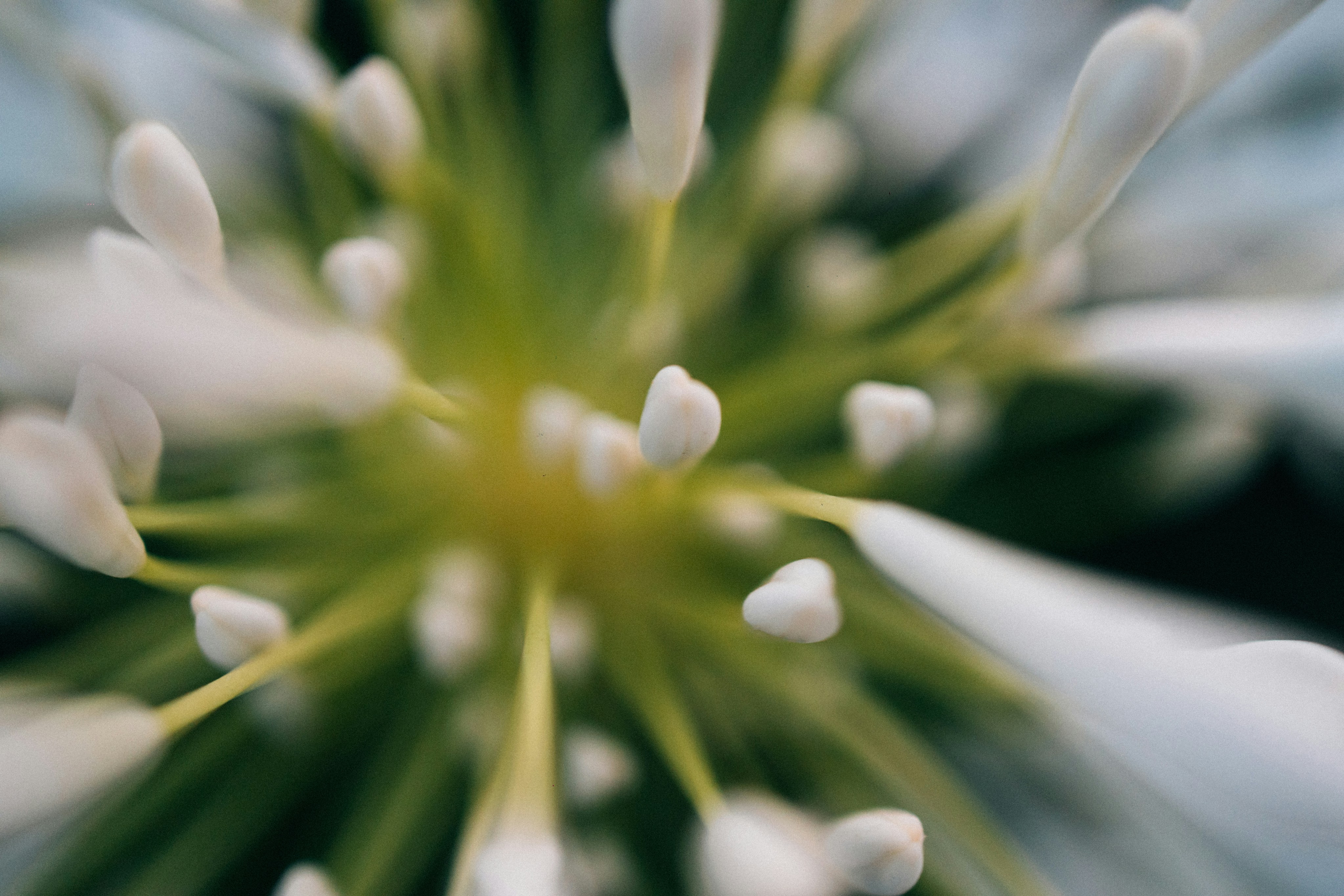 Photo by tsuyoshikozu