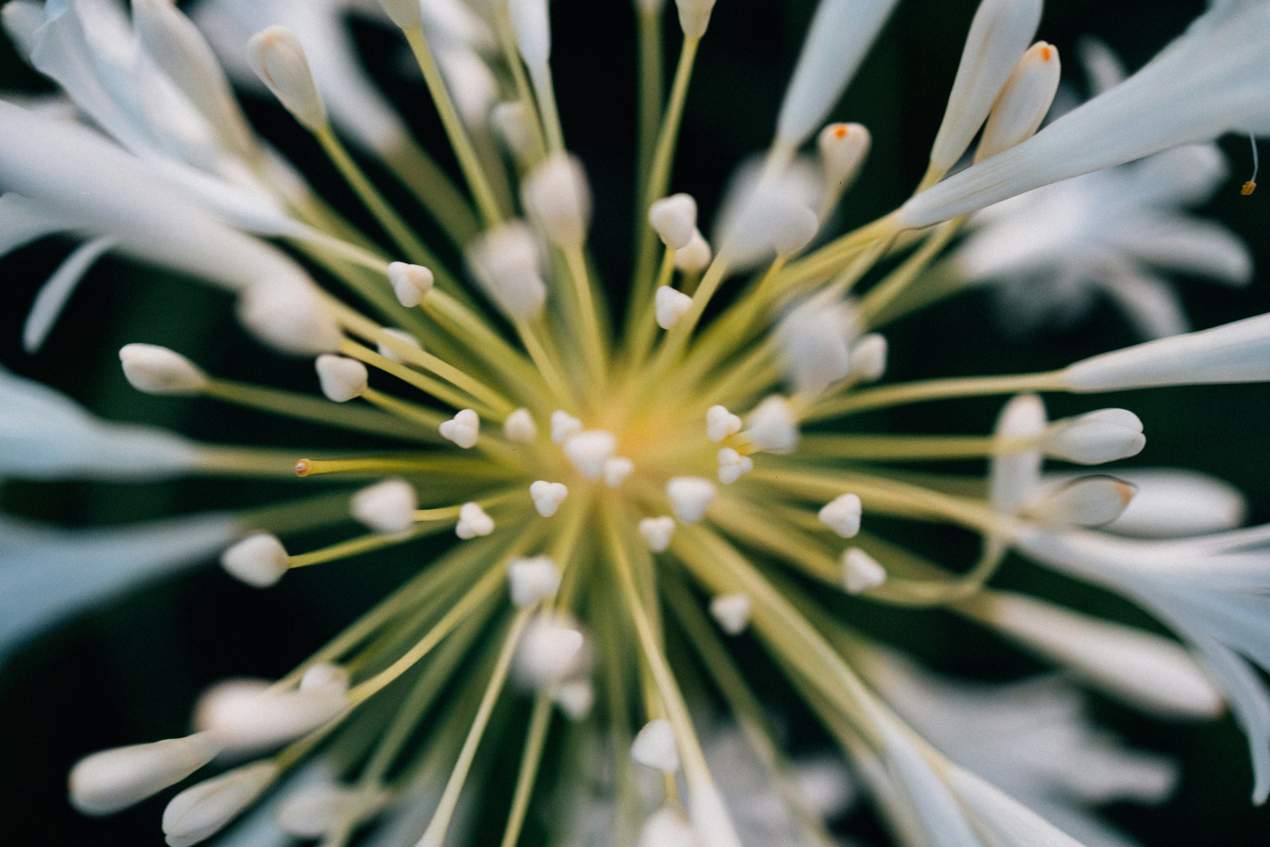 Photo by tsuyoshikozu