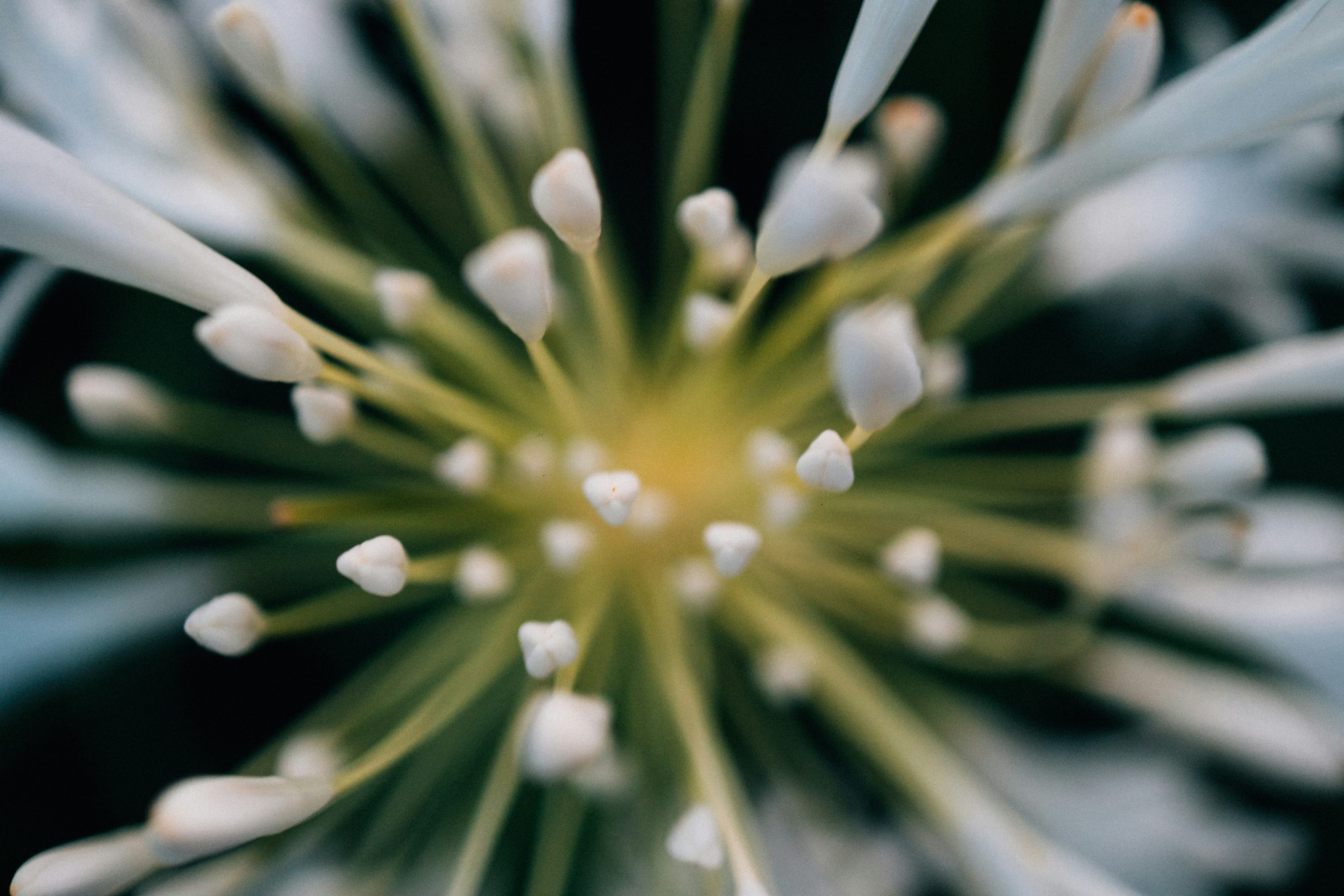 Photo by tsuyoshikozu