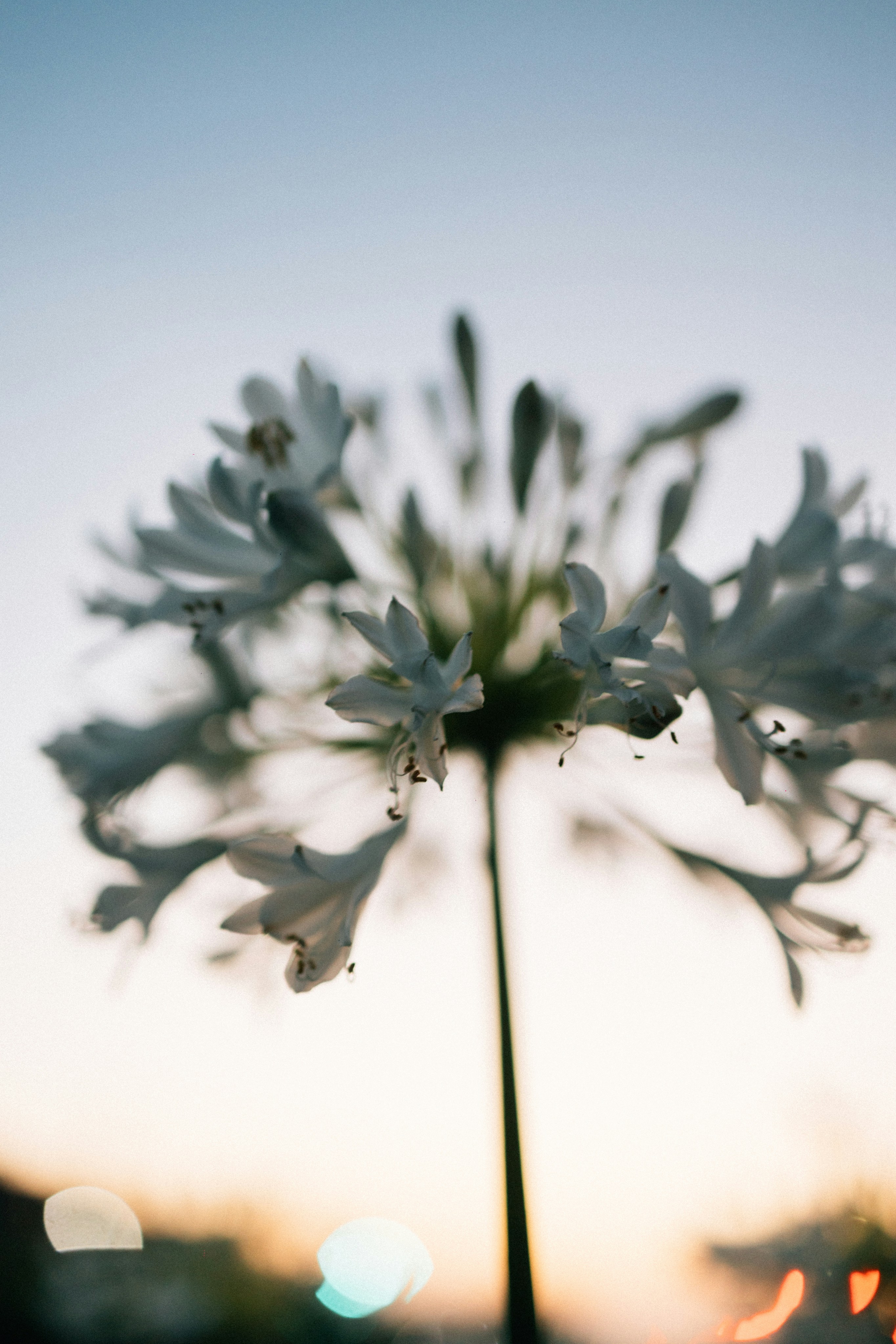 Photo by tsuyoshikozu