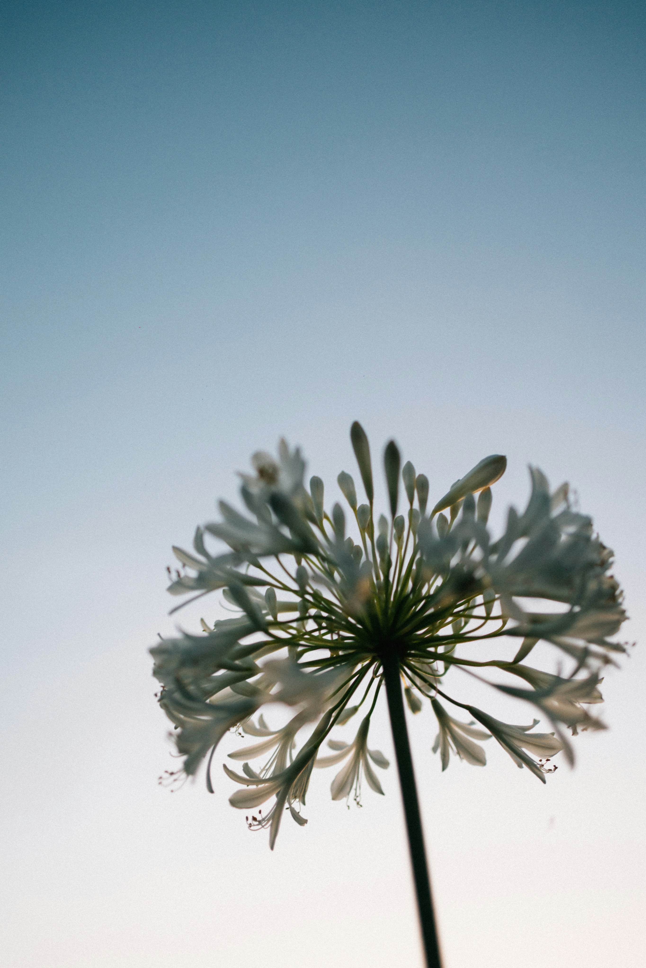 Photo by tsuyoshikozu