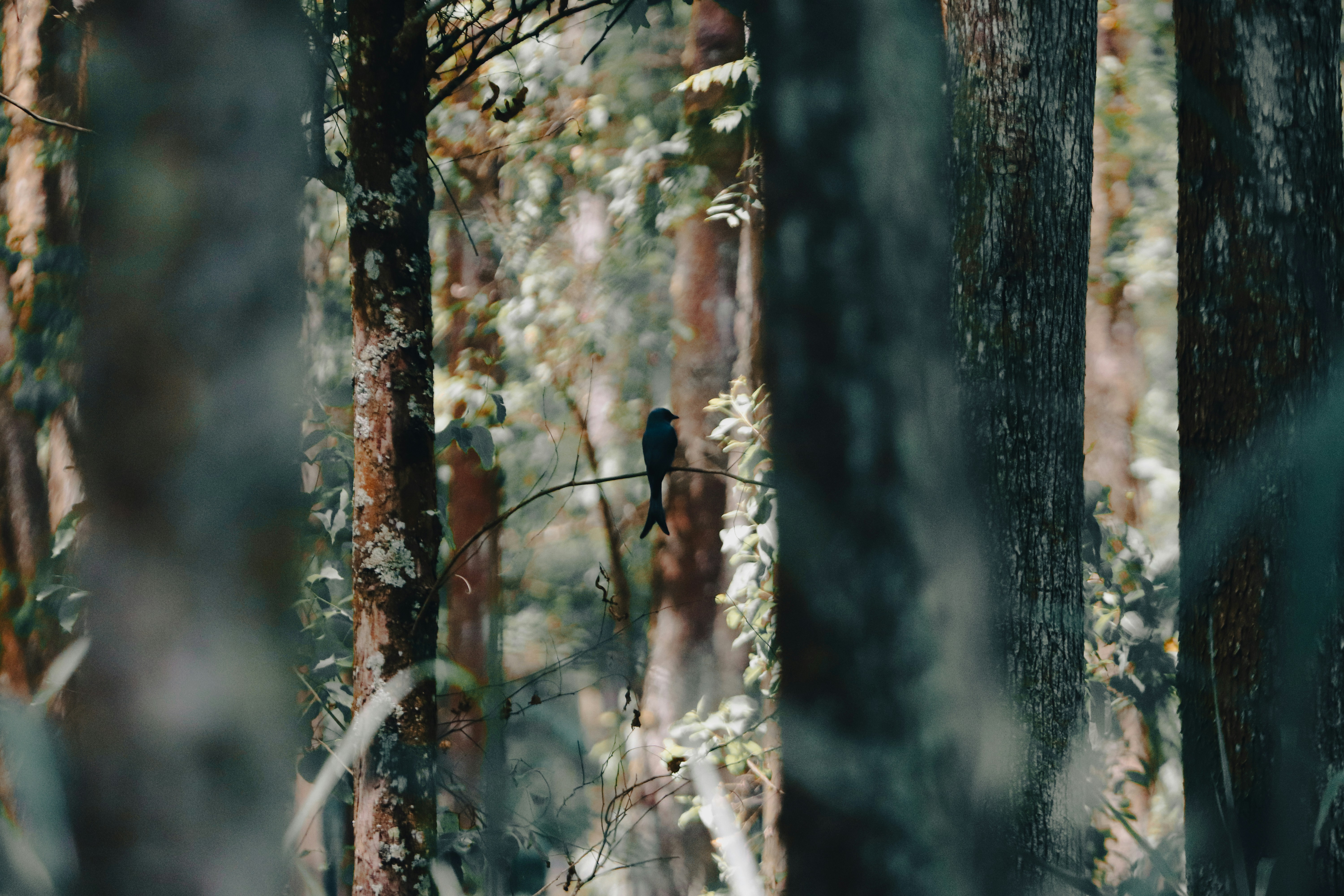 Photo by adityarizqiqa_