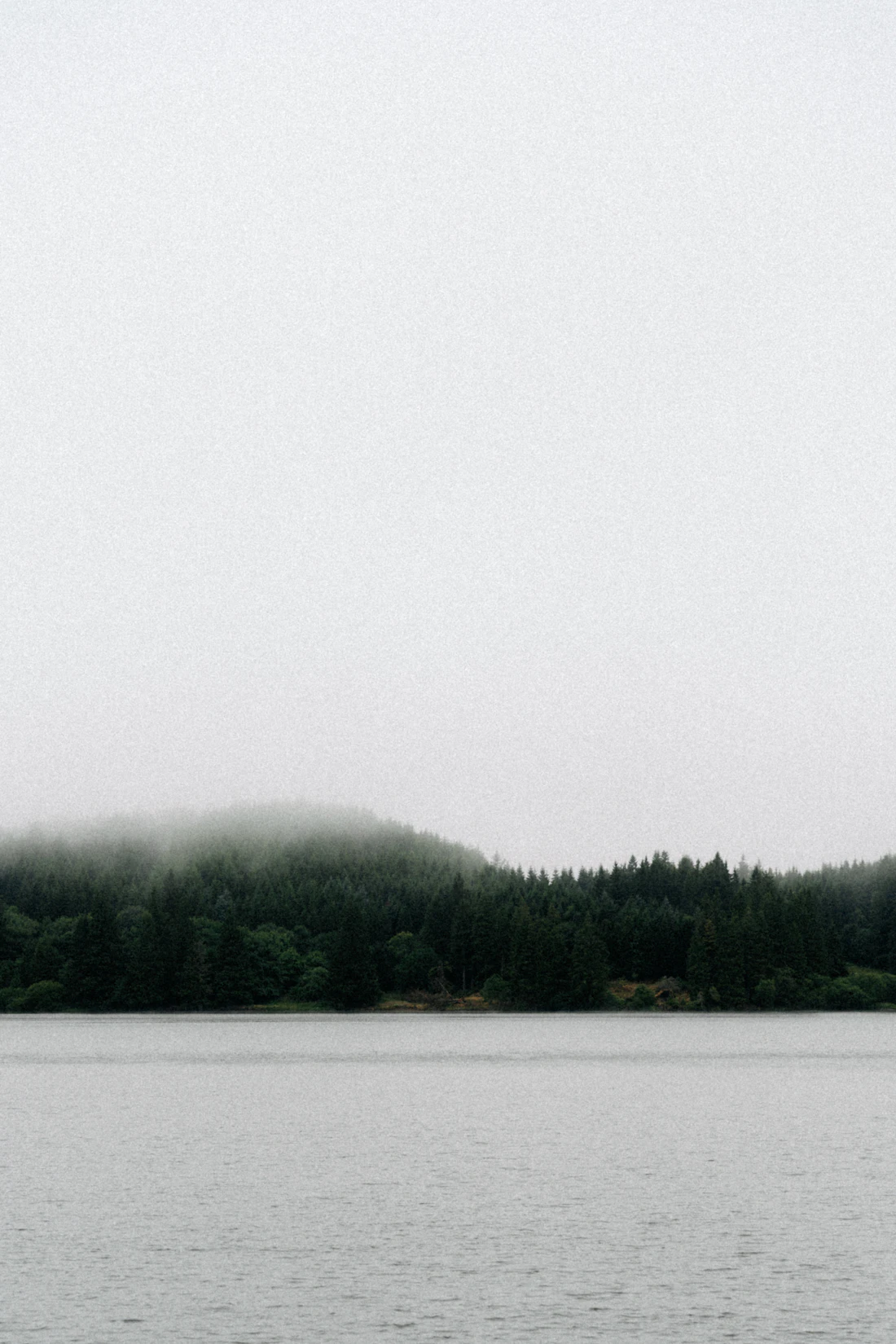 Mist lifting off a calm Algonquin lake at dawn