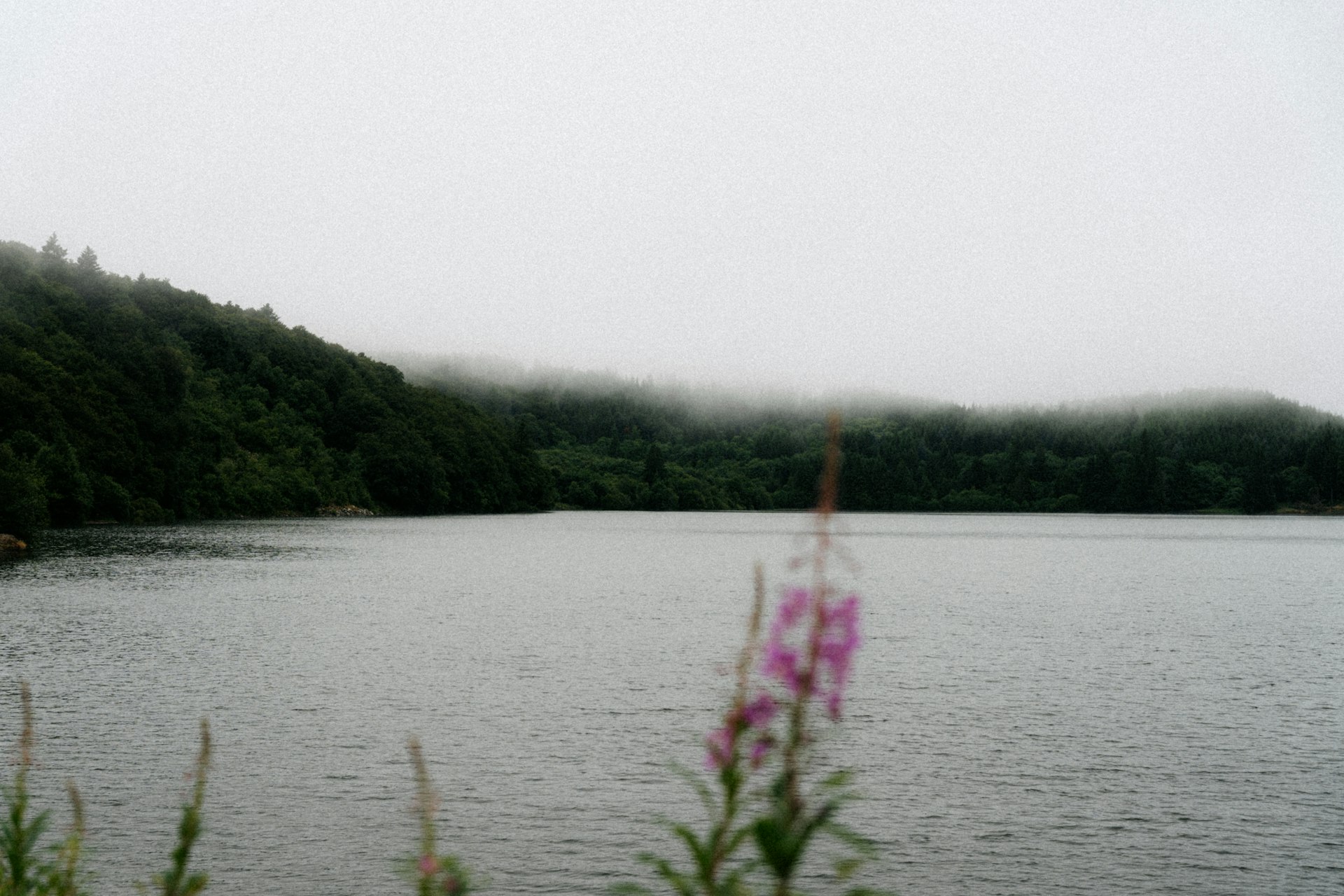 Misty lake surrounded by lush green hills — Taal Lake vista