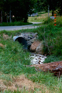 Creek flows through culvert under a rural road.