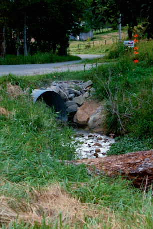 Creek flows through culvert under a rural road.