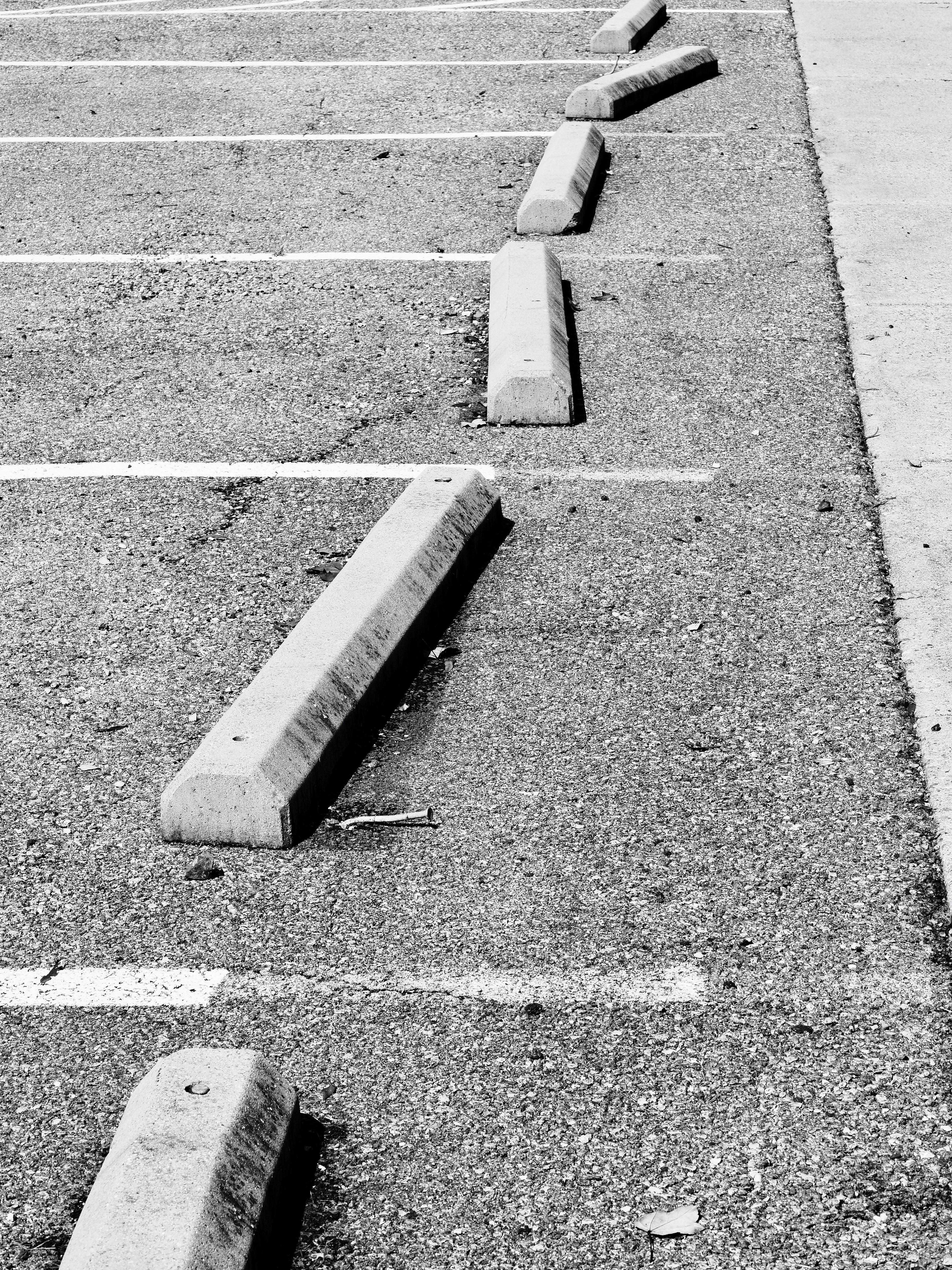 Photo by sschusterphotoart