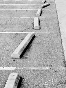 Concrete parking stops line an asphalt lot