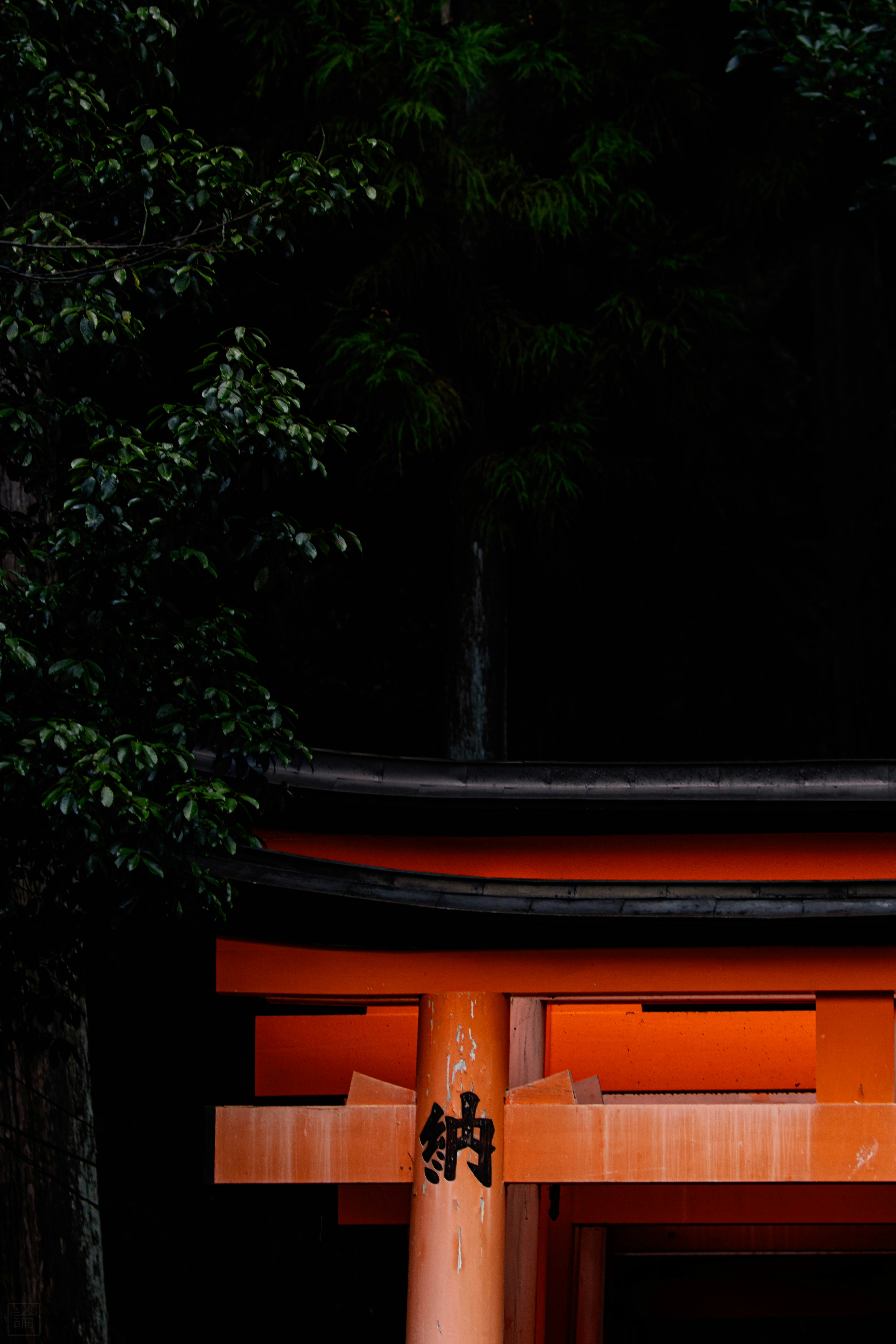 Photo by hidingninjatokyo