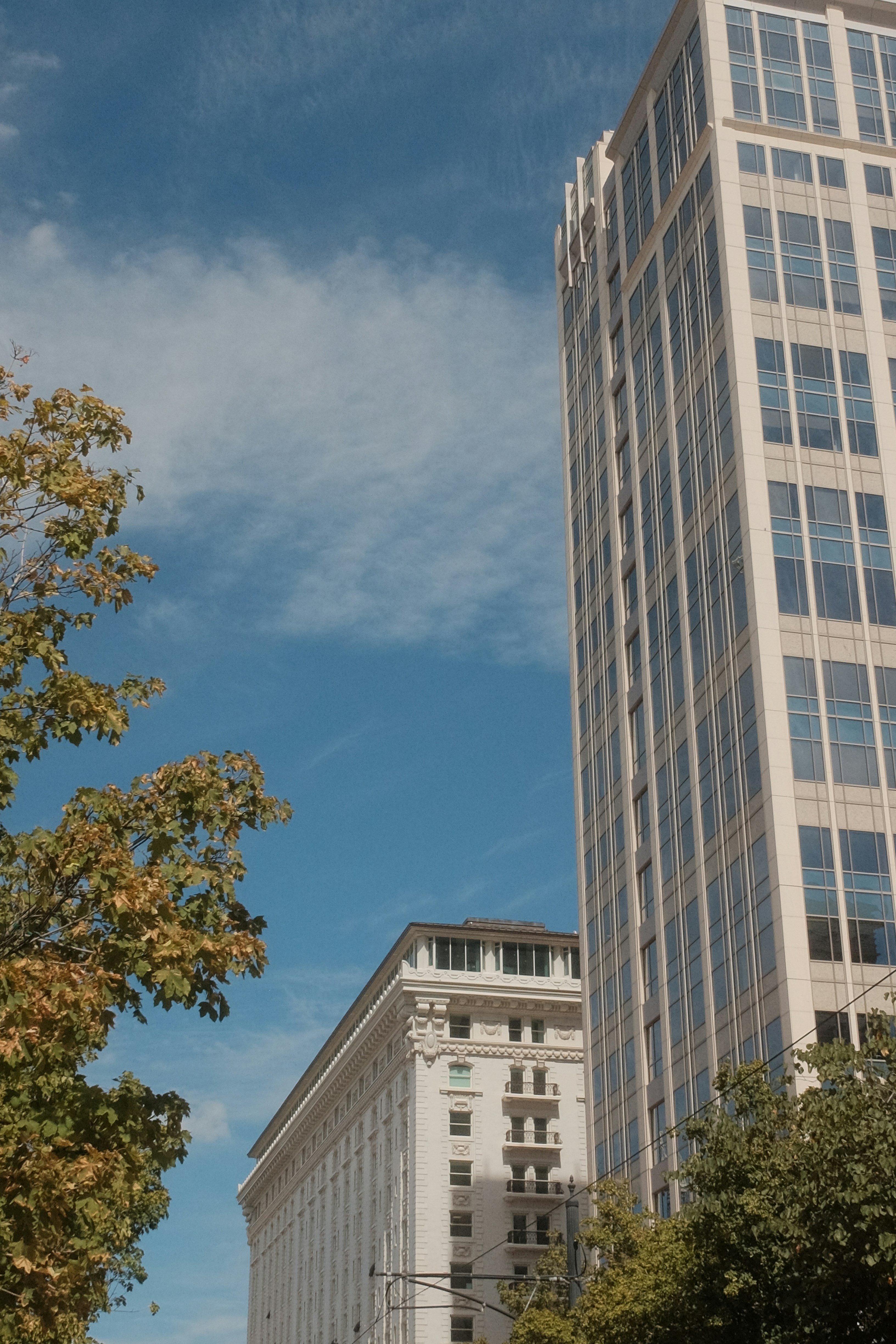 Photo by kennysgarden