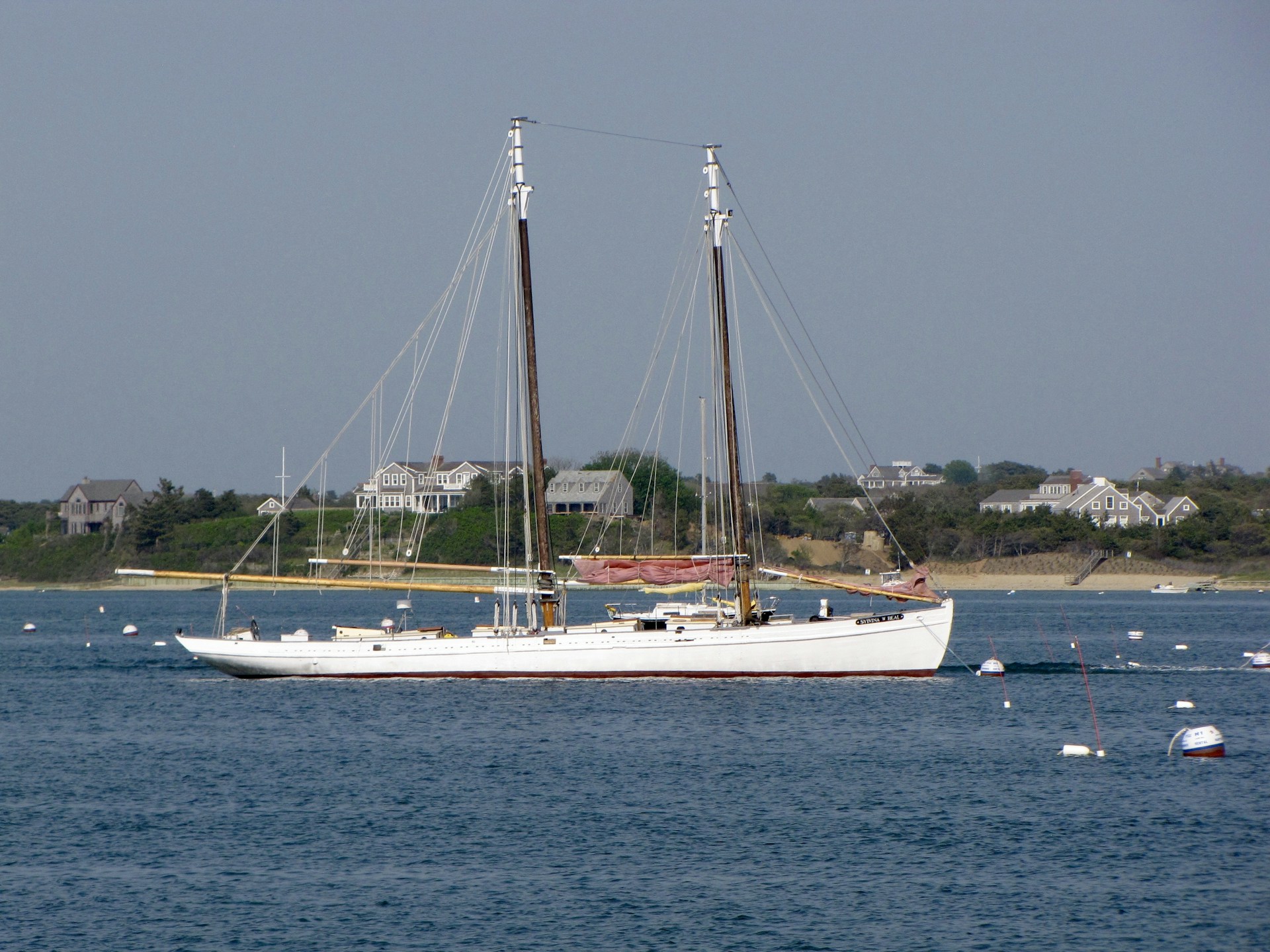 A white schooner sails on a calm blue sea.