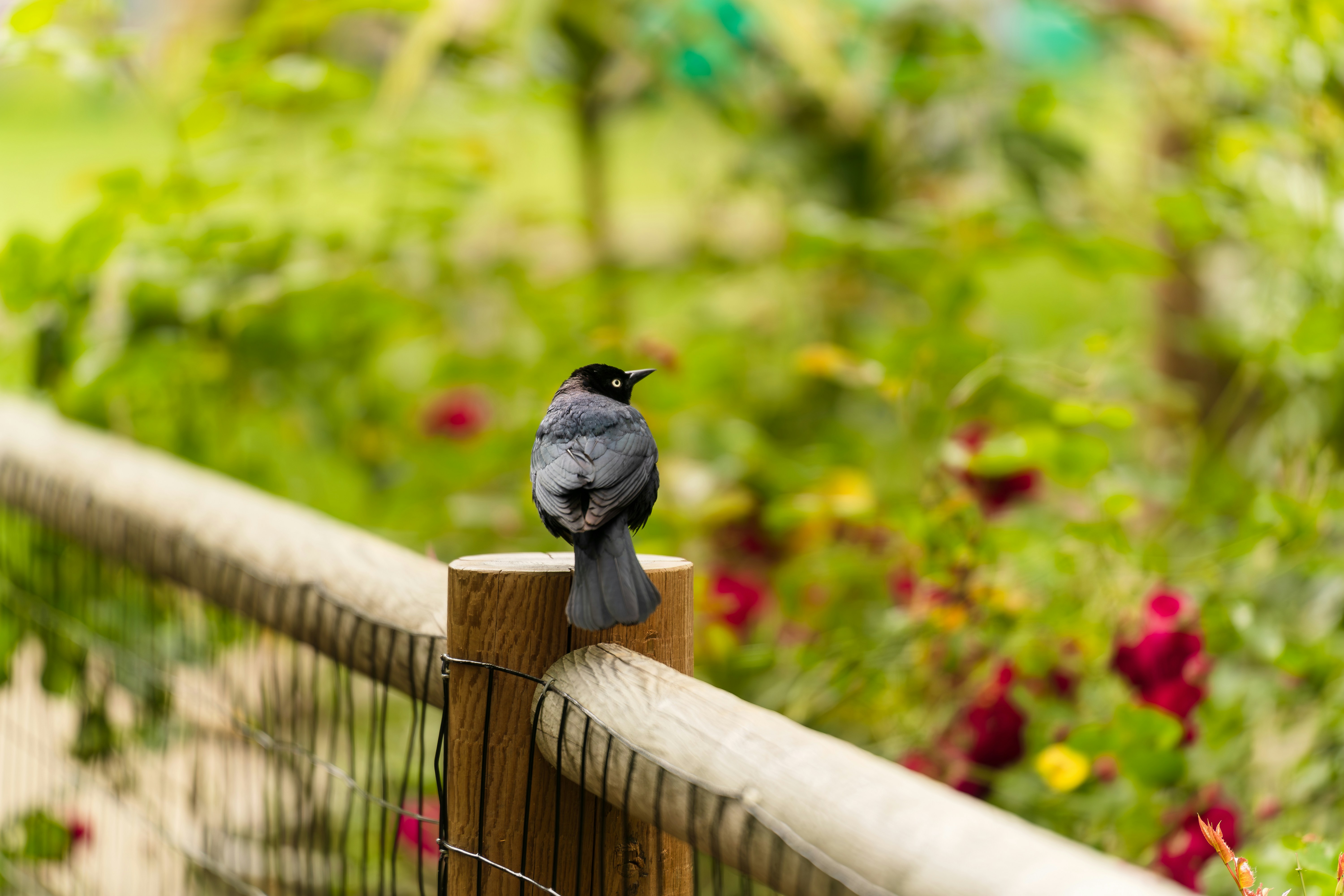 Photo by freeze_zone