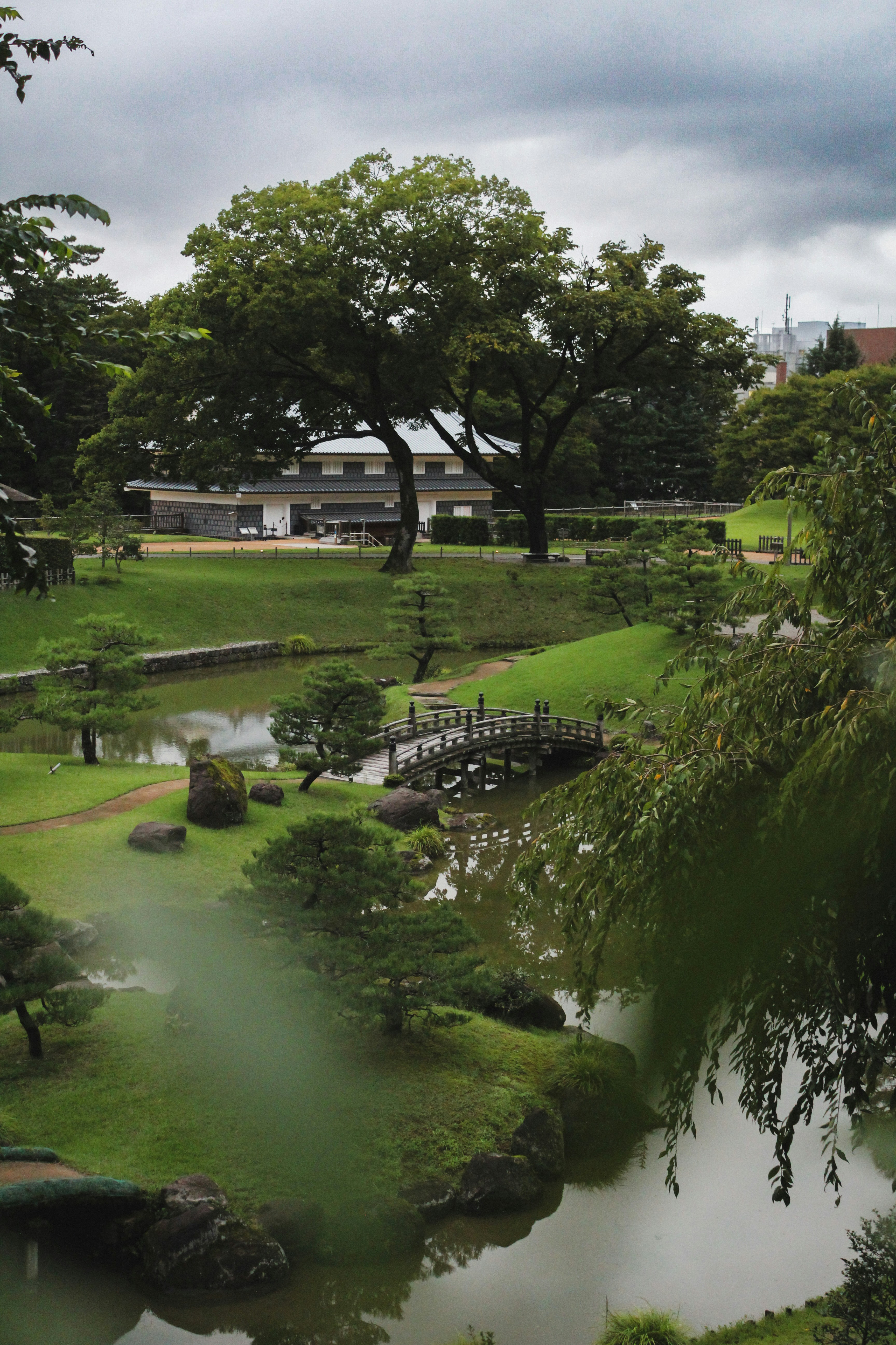 Lush japanese garden with a wooden bridge over water