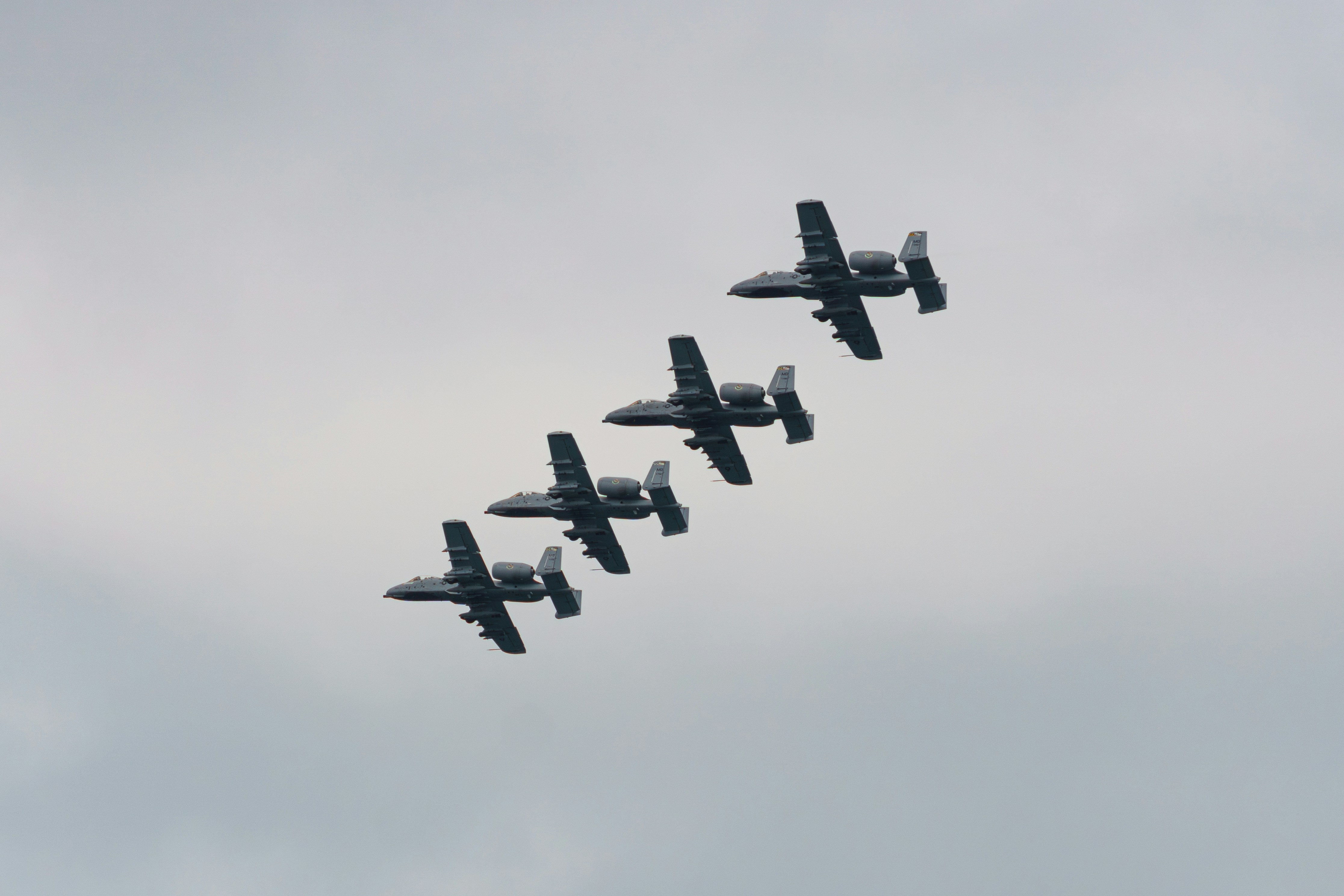 Photo by computergeek347