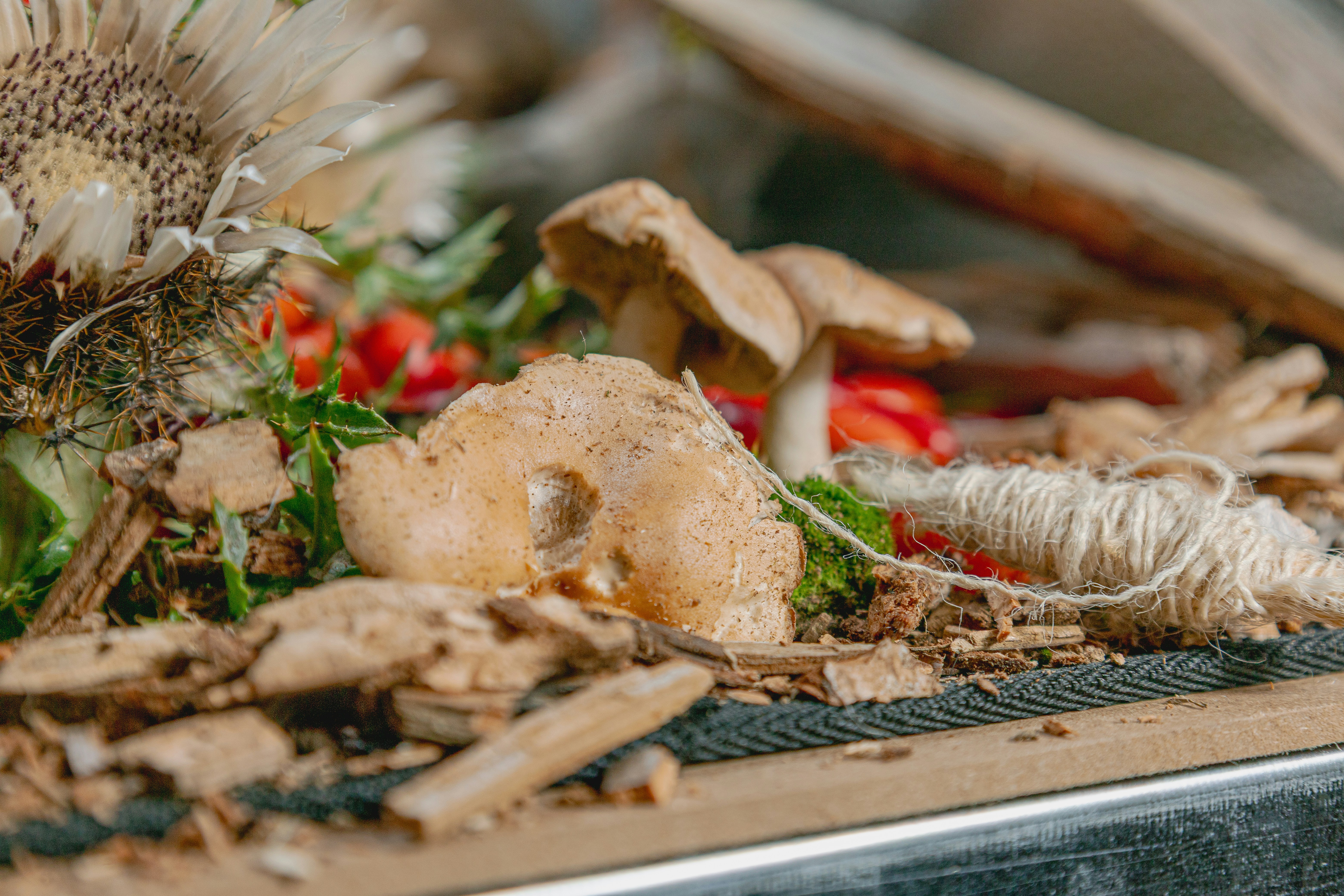 Photo by doeringphotograpy