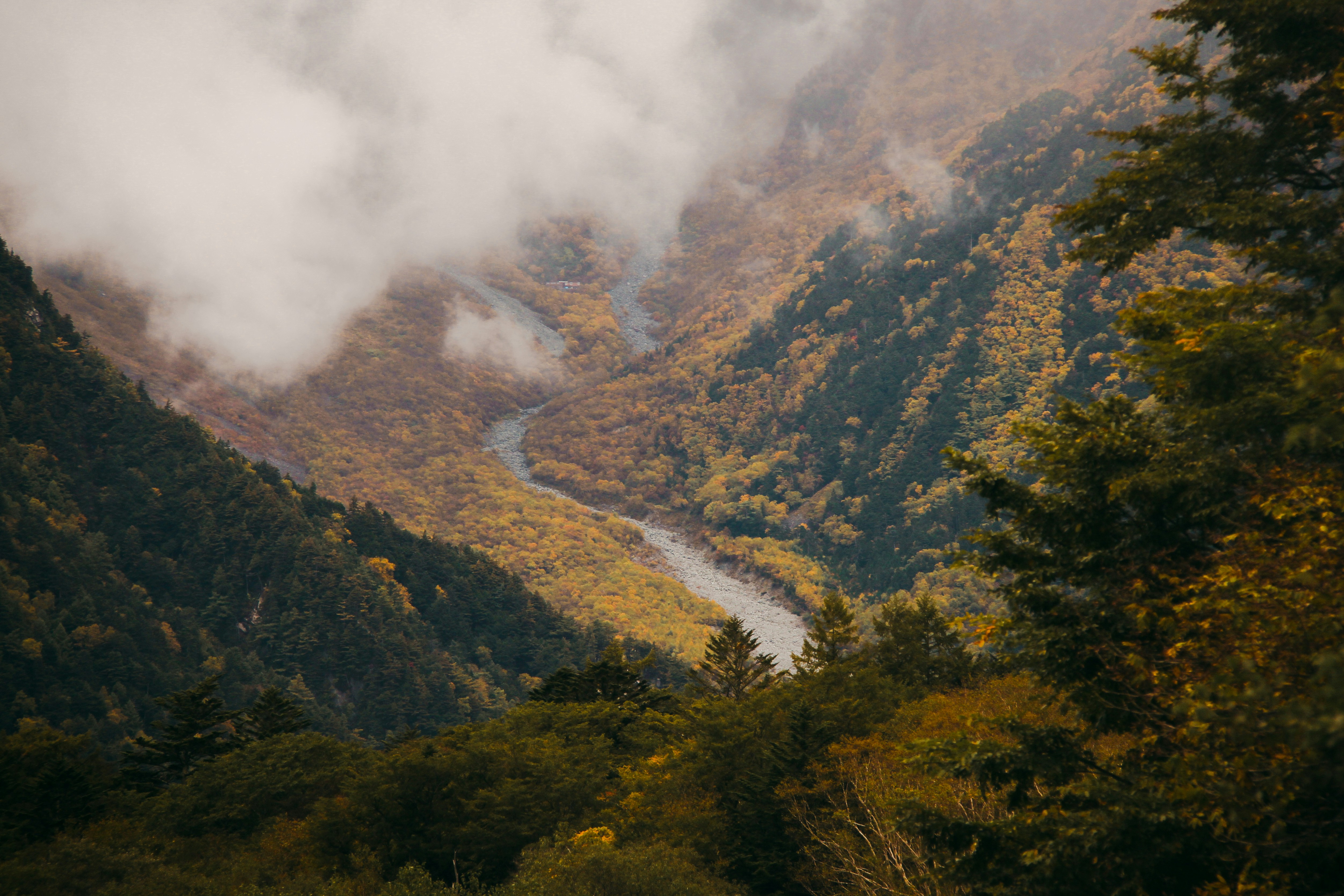 Photo by claudiatifanny