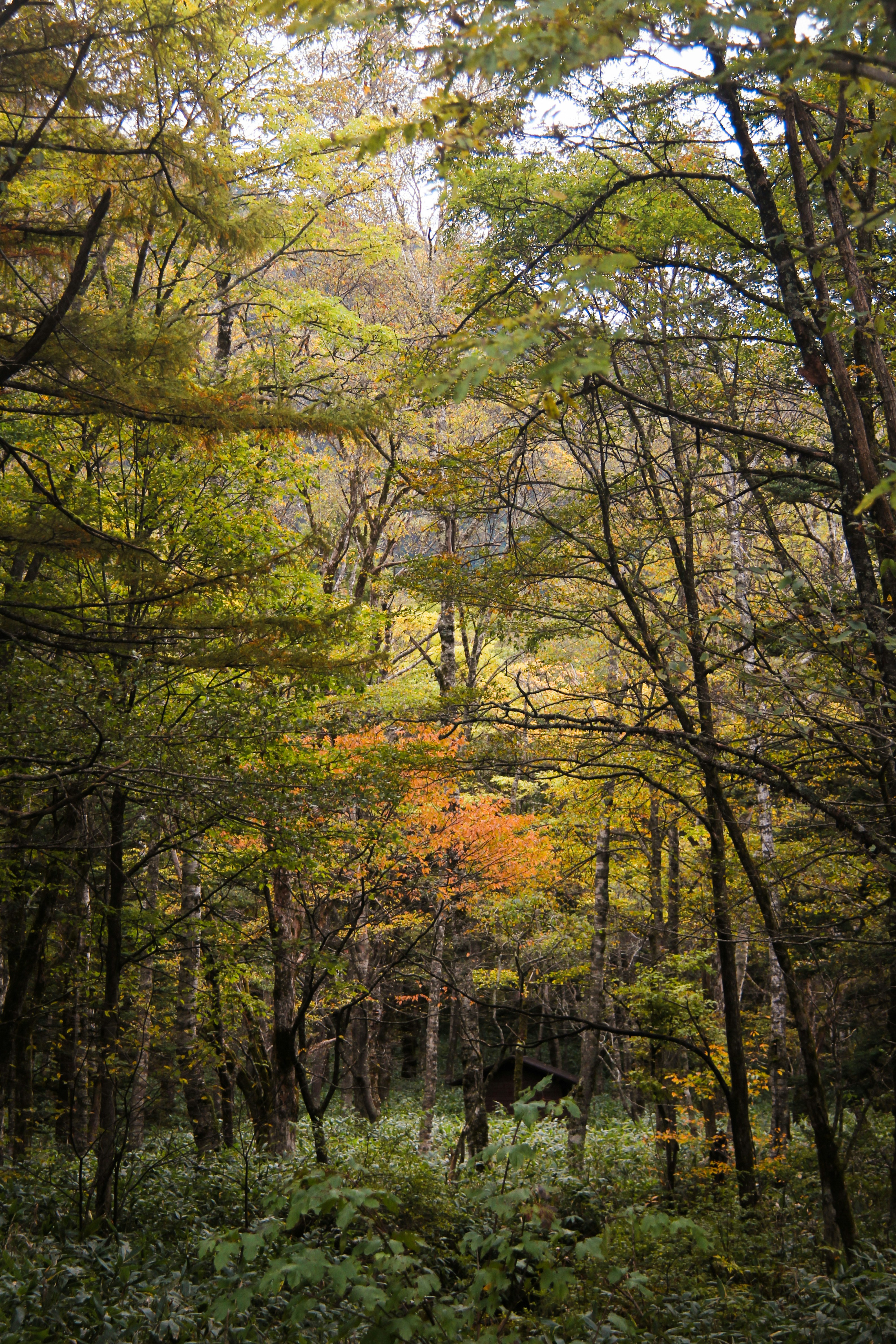 Photo by claudiatifanny