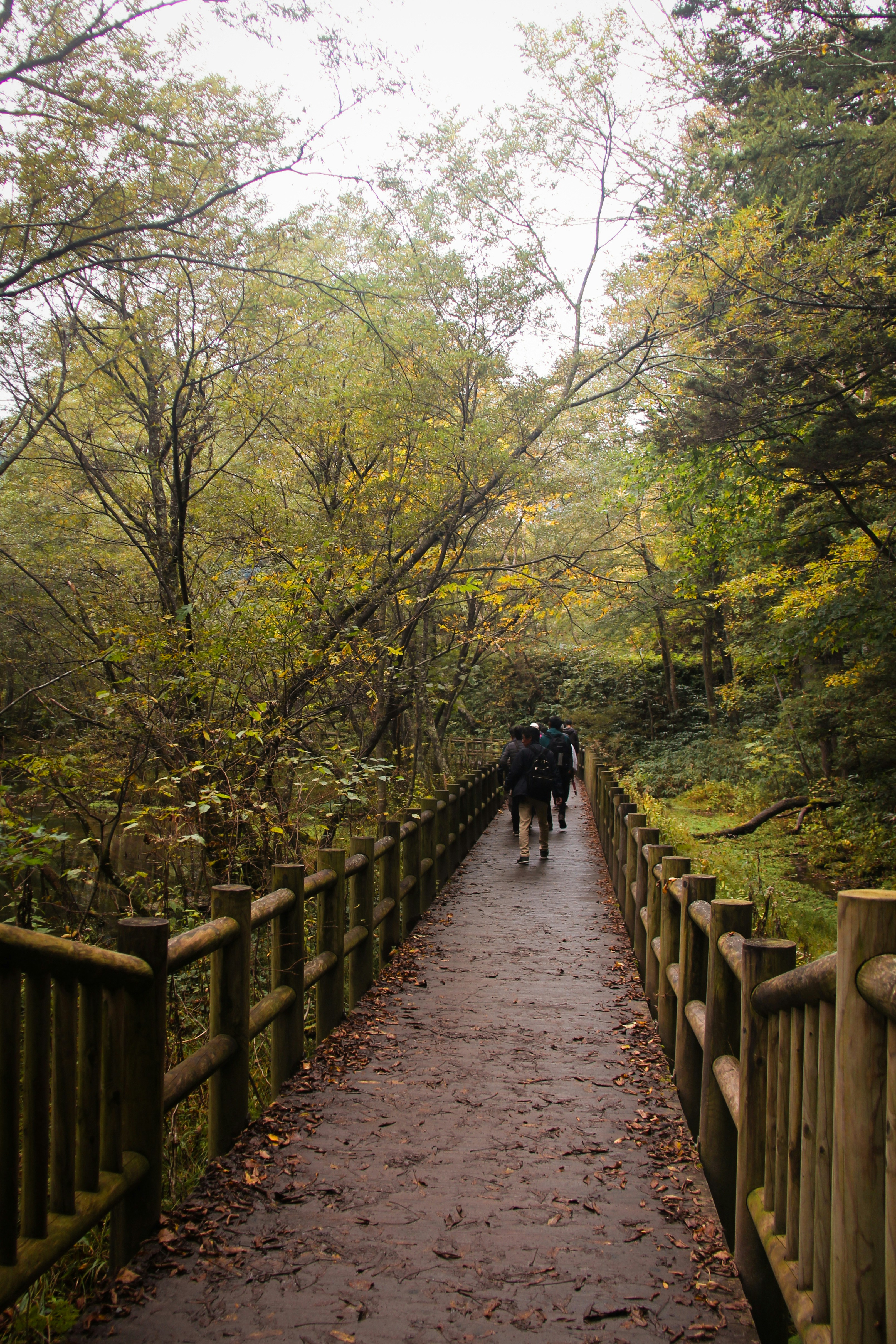 Photo by claudiatifanny