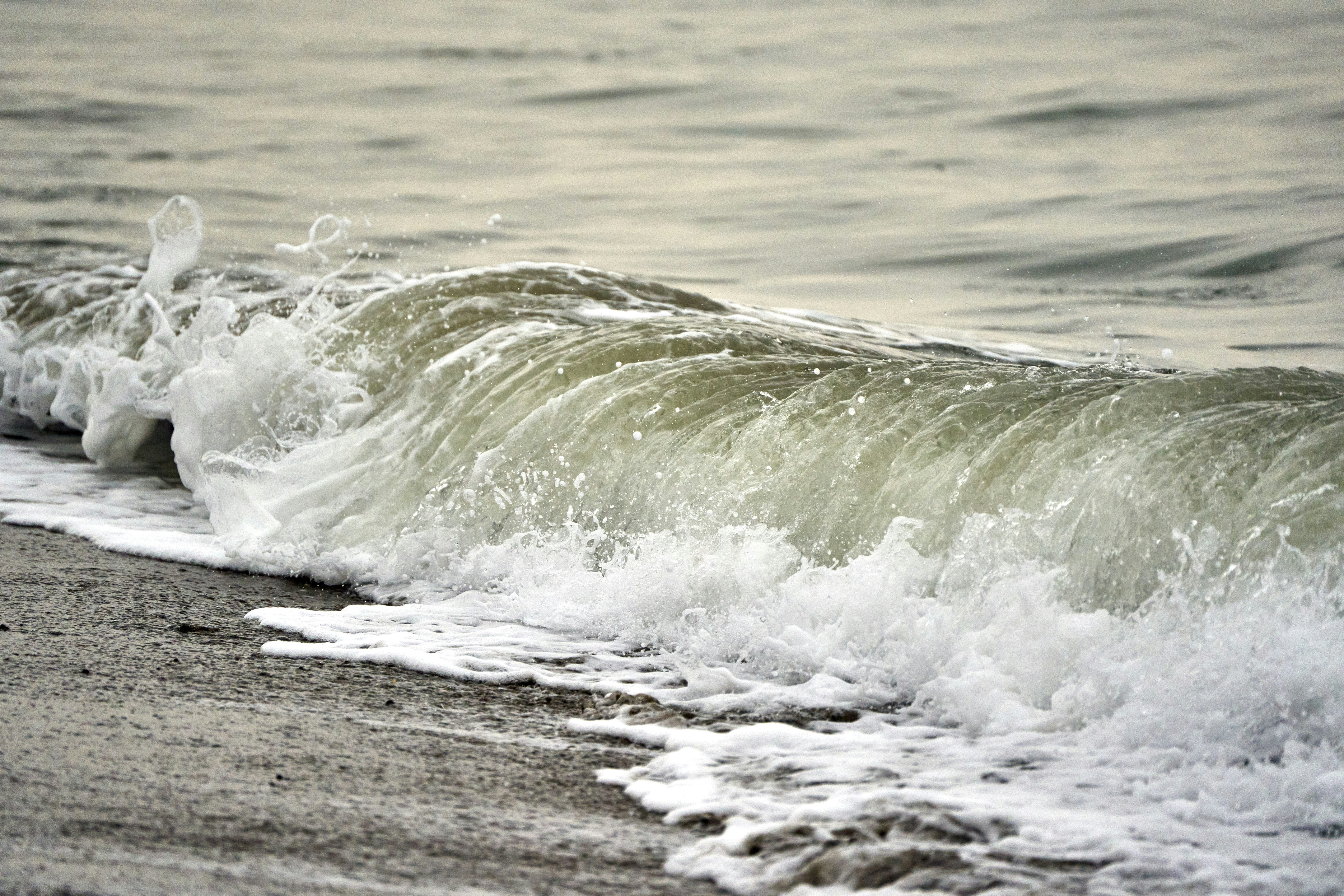 Photo by wolfgang_hasselmann