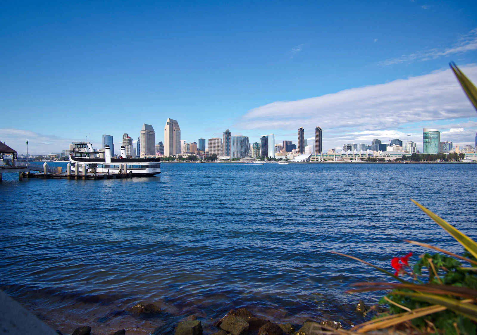 San Diego Skyline Viewpoint