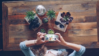 Hands holding smartphone photographing potted plants on table