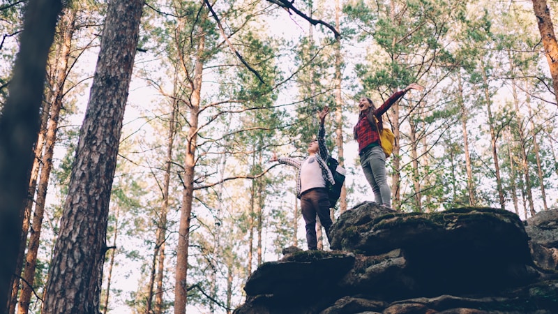 Exploring rocks in forest