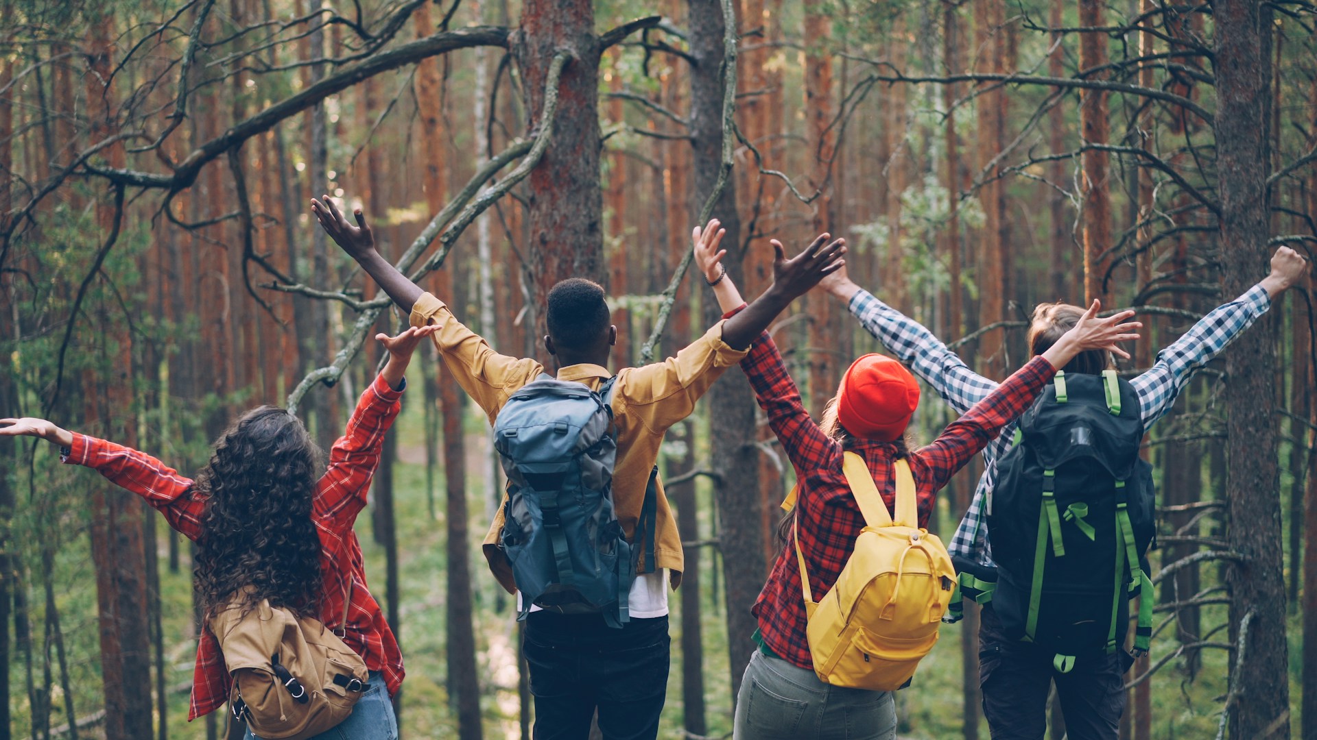 Four friends with backpacks raising arms in forest.