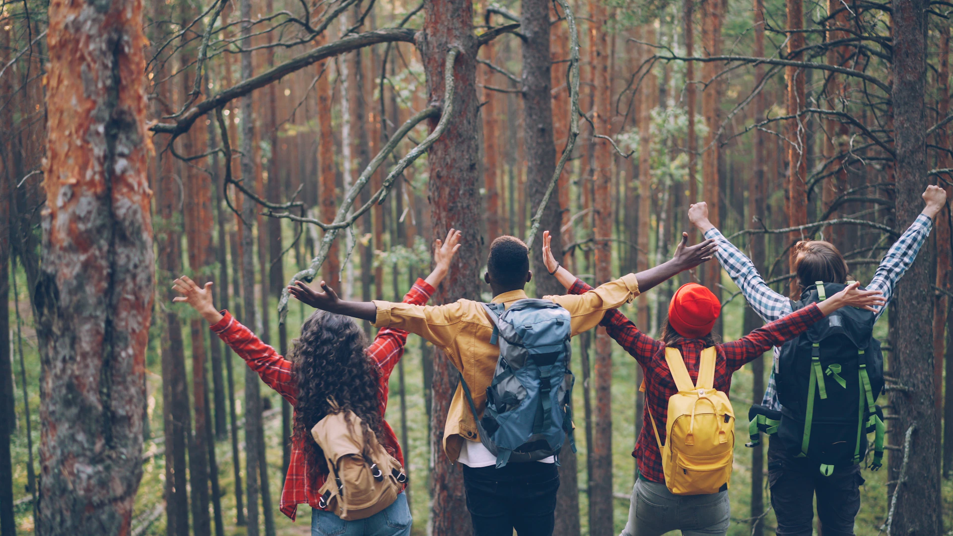 Four friends with backpacks raise arms in forest