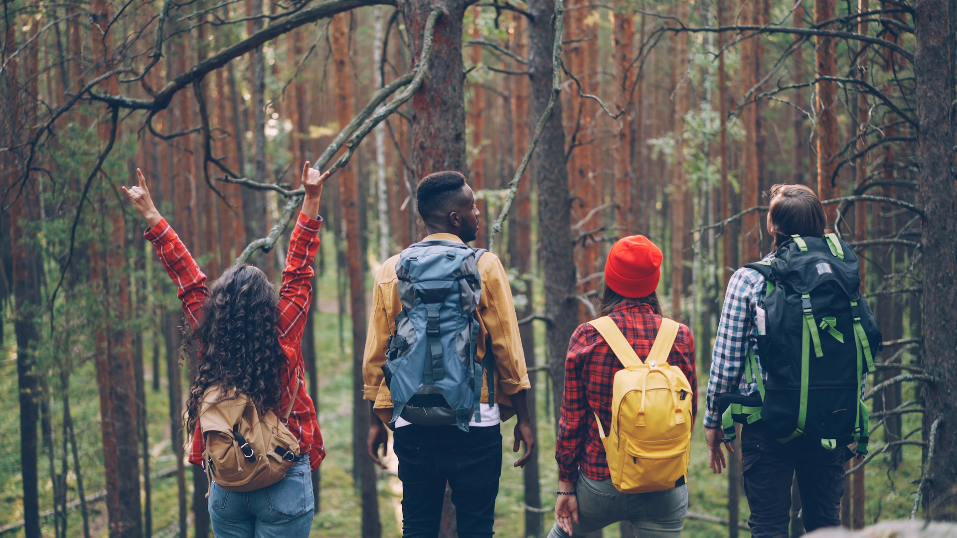 Four friends hiking through a dense forest