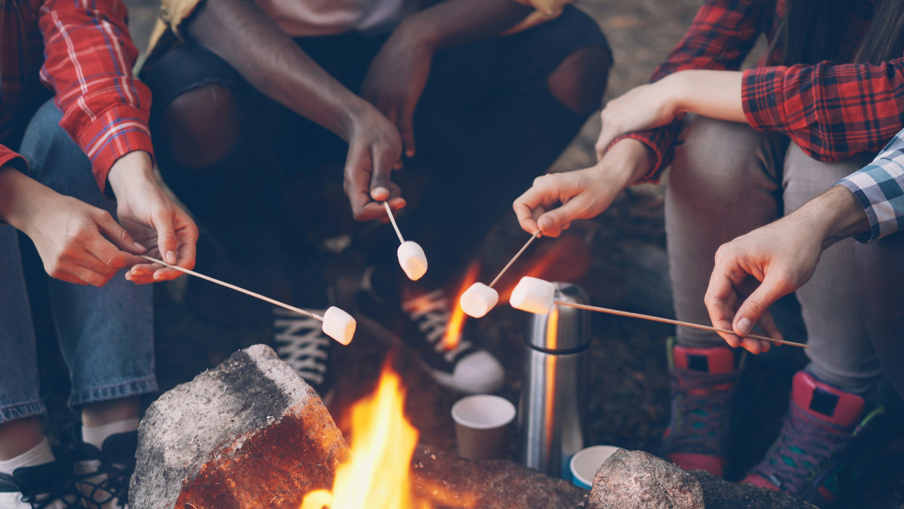Campfire marshmallow roasting