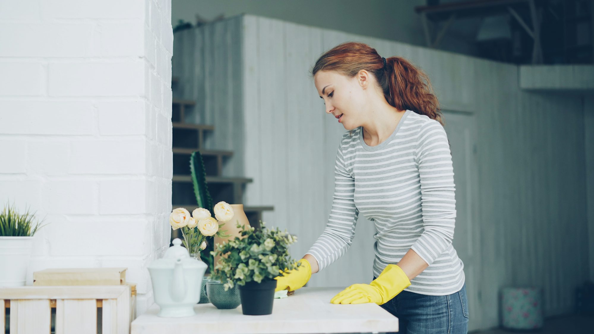 Professional house cleaner wiping a table