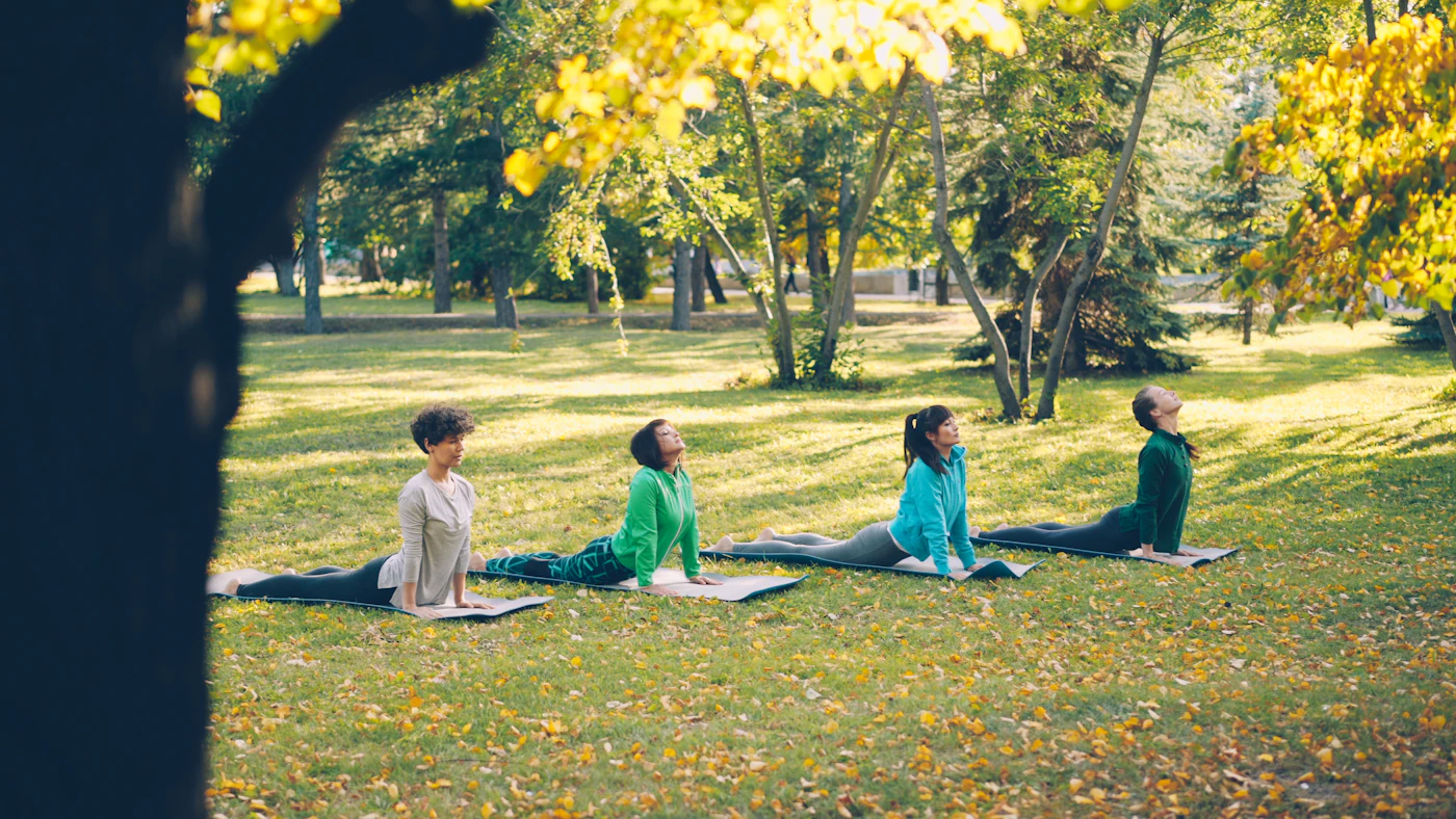 A small group practising on mats under autumn trees