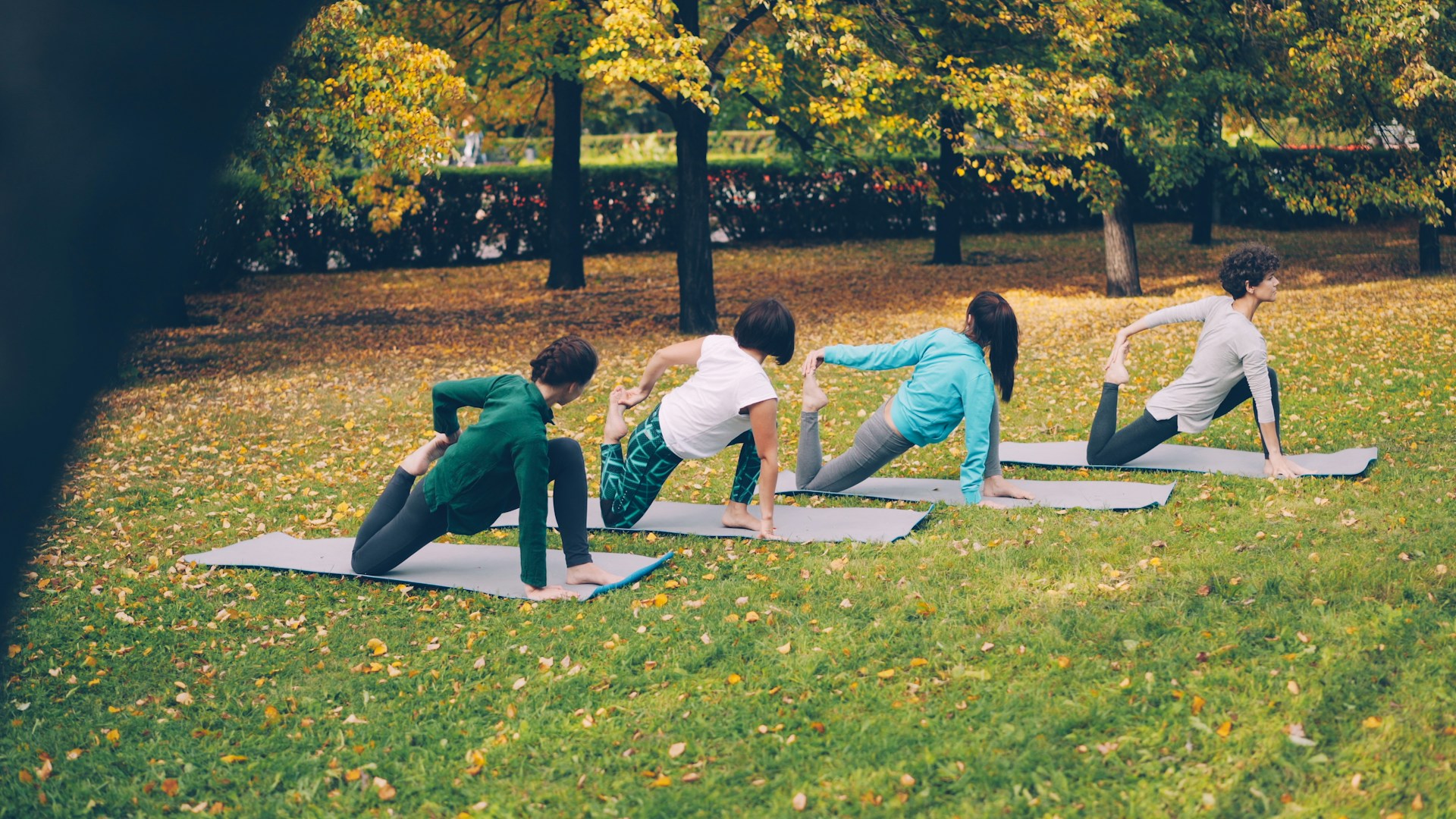 People practicing yoga on mats in a park.