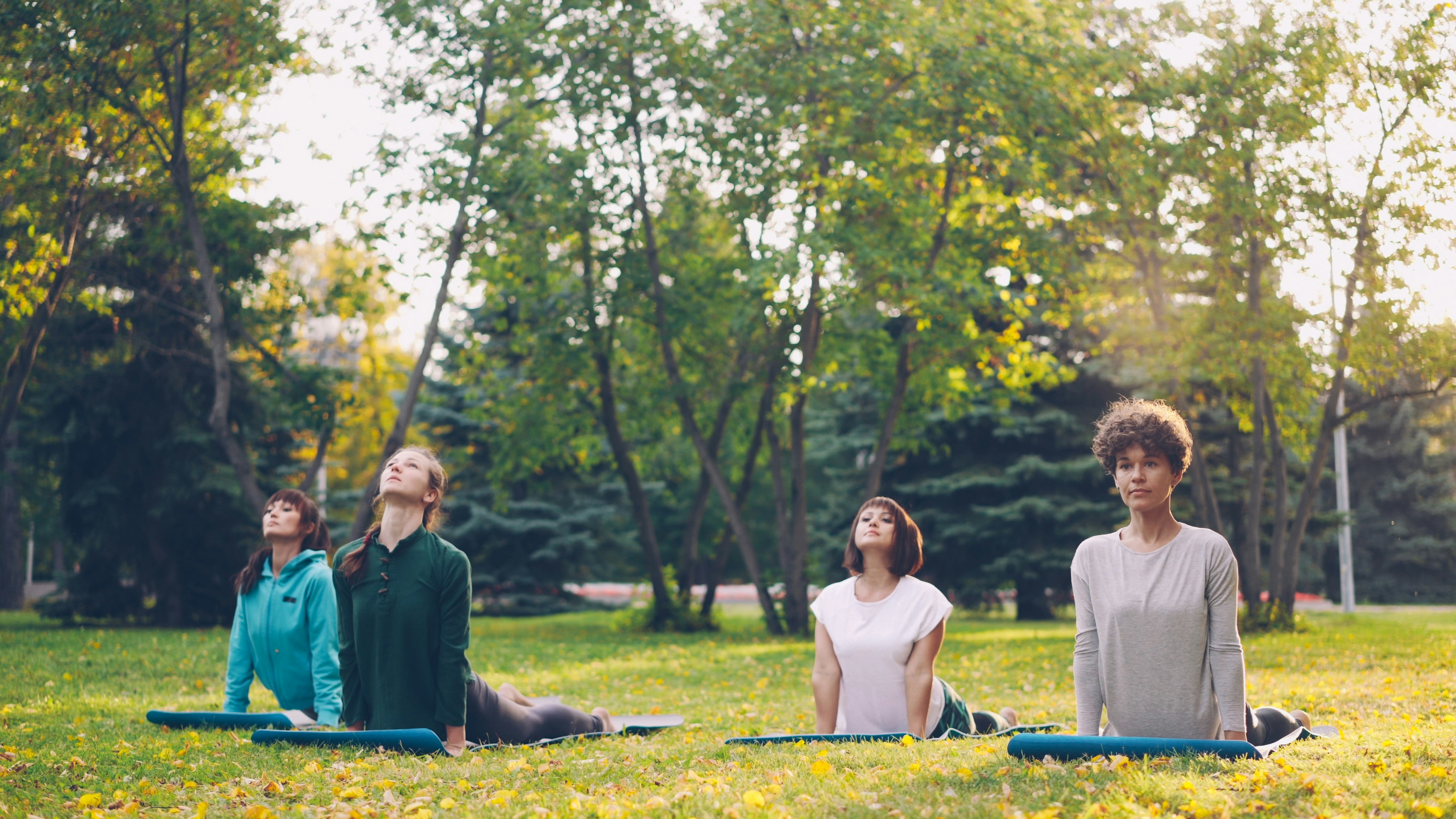 Group yoga class in park
