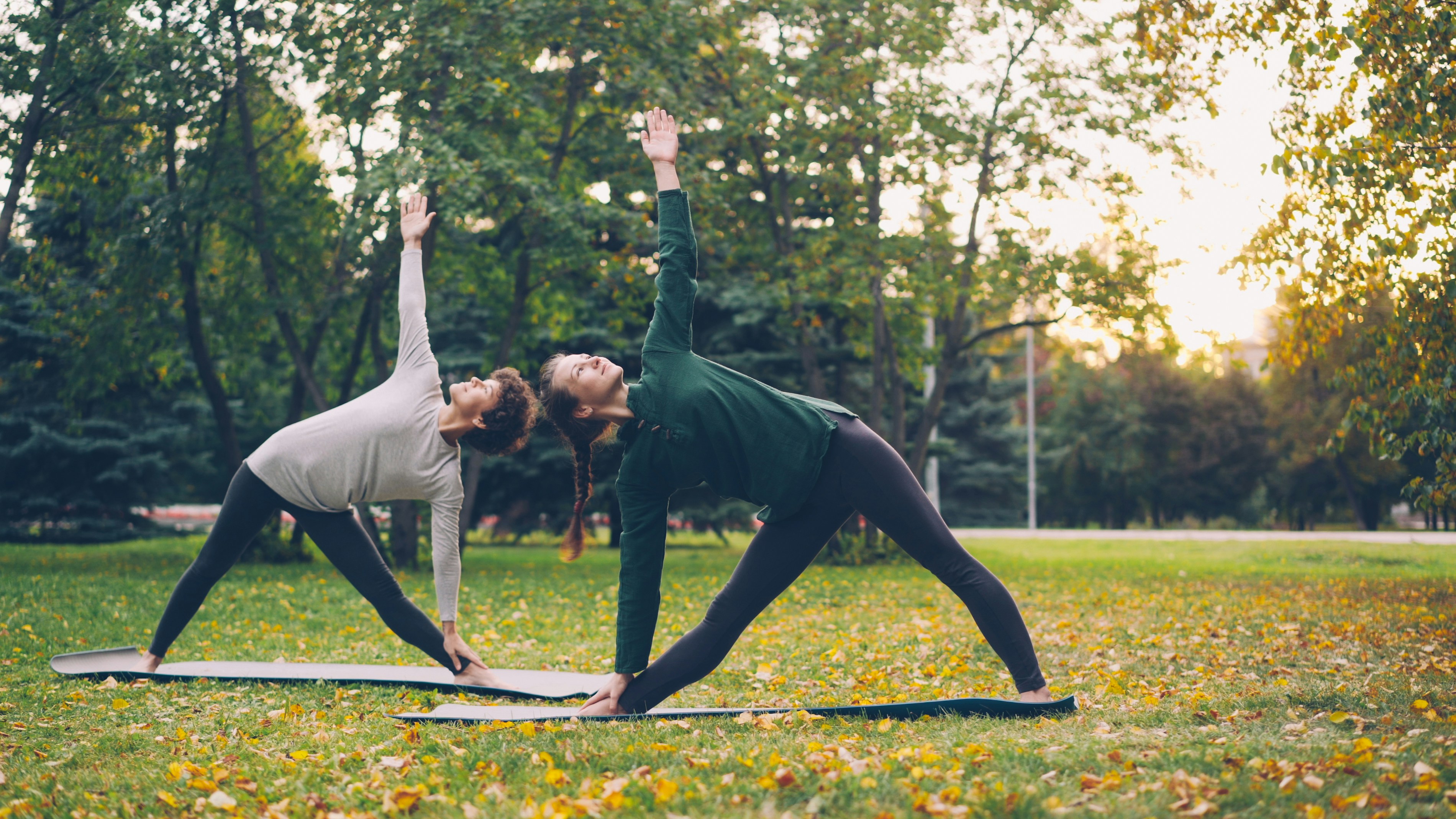 Personal yoga training in park