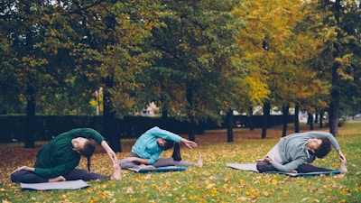 Three people stretching on yoga mats in a park.