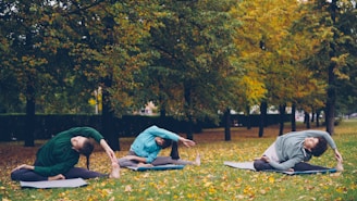 Three people stretching on yoga mats in a park.