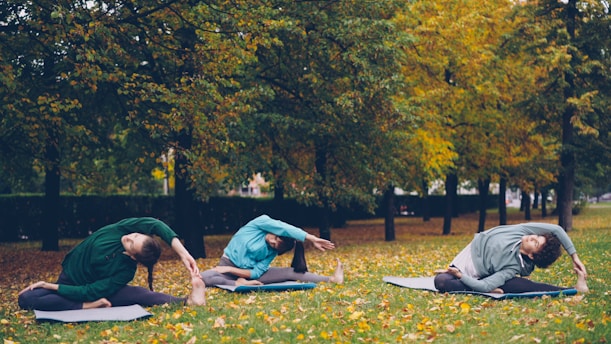 Three people stretching on yoga mats in a park.
