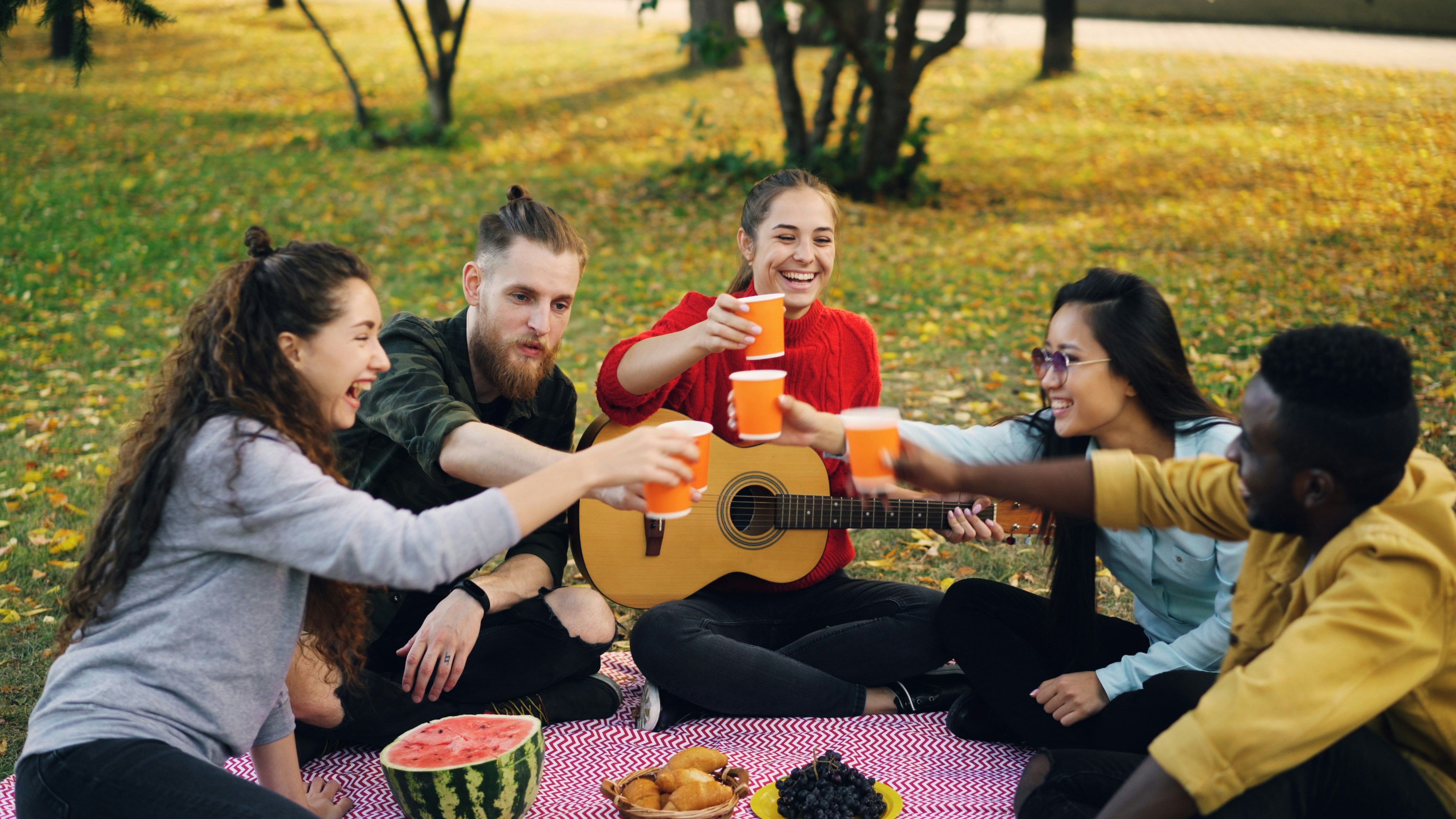 Multi-ethnic group enjoying autumn picnic with drinks and guitar