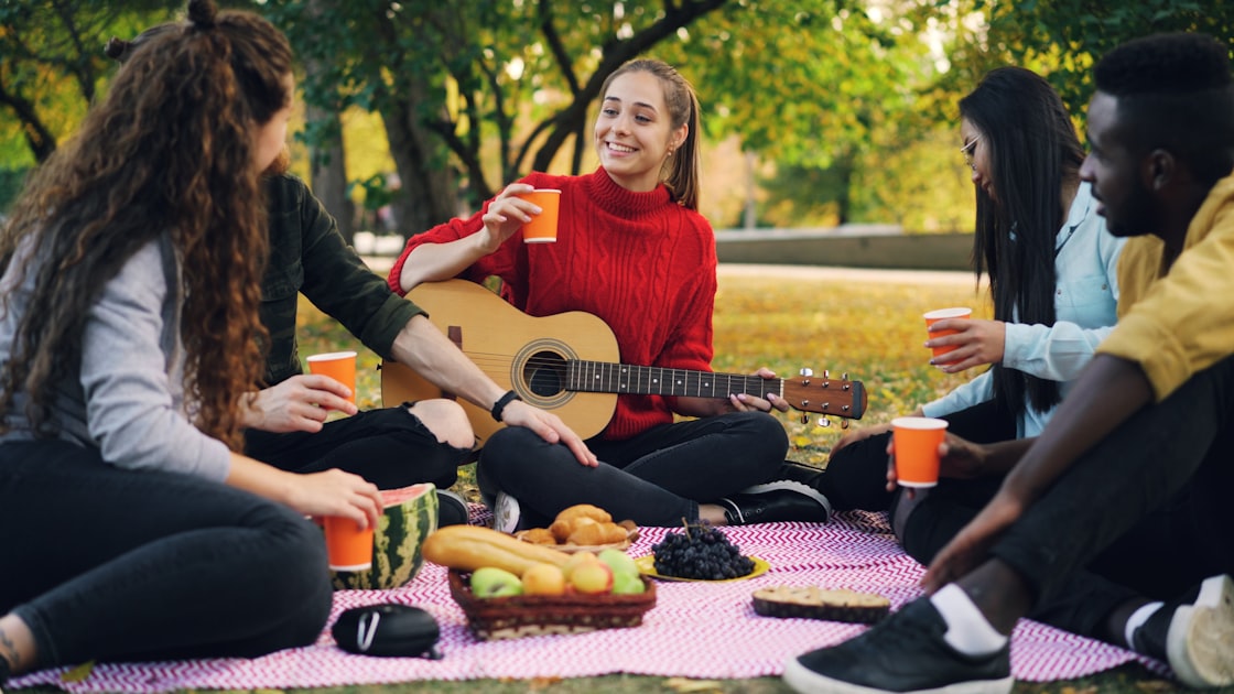Friends enjoying a picnic with guitar and drinks