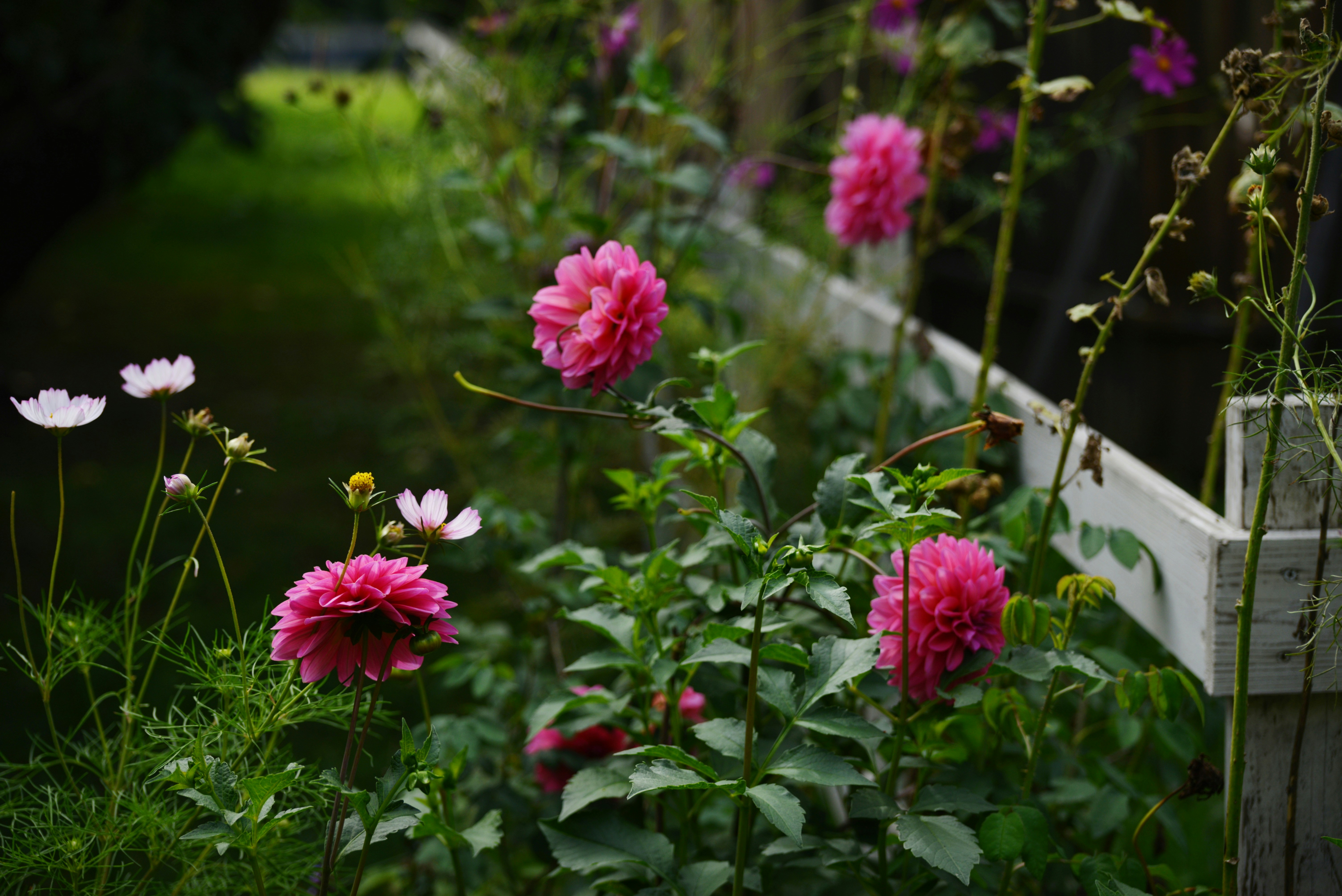 Photo by cherstve_pechivo