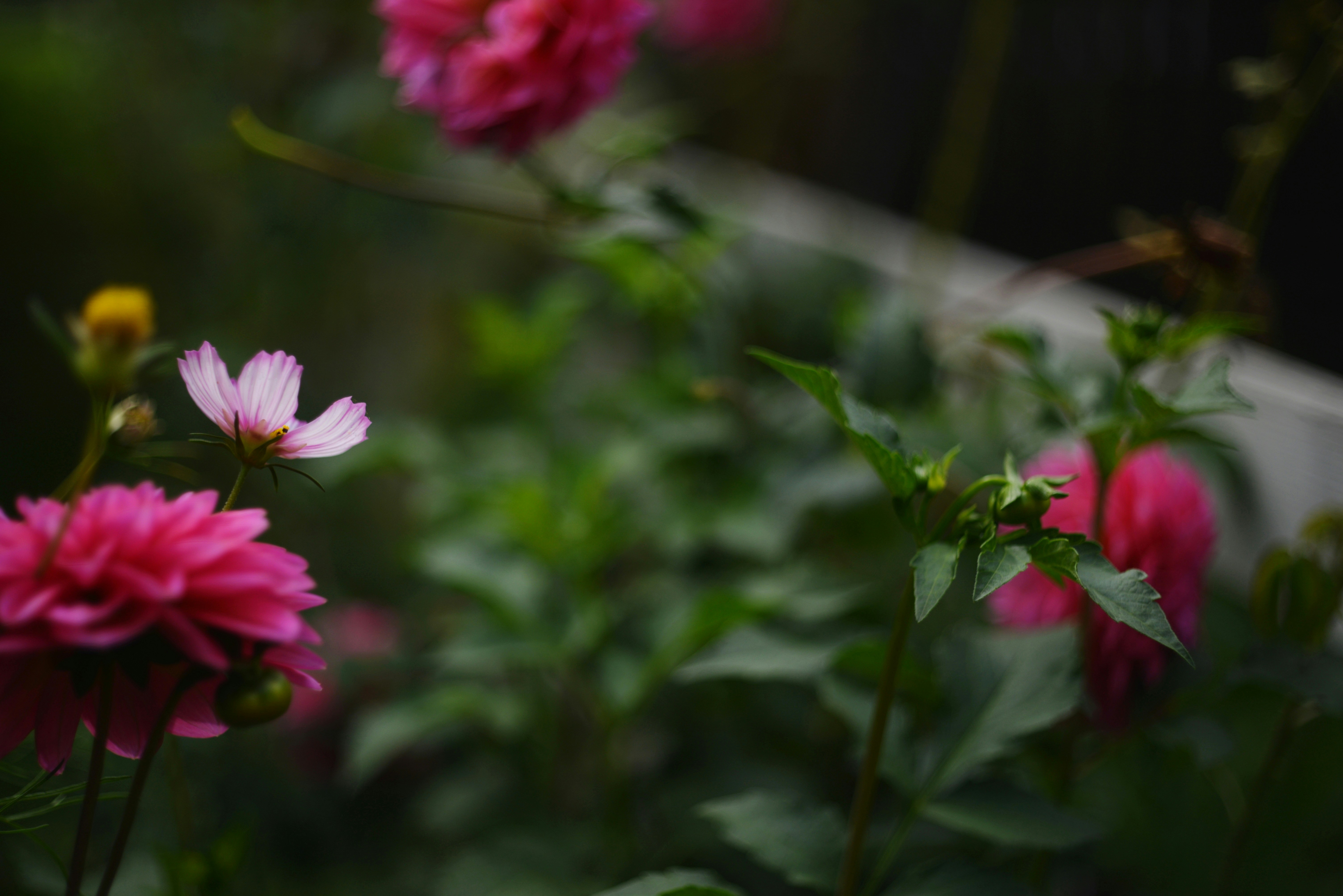 Photo by cherstve_pechivo