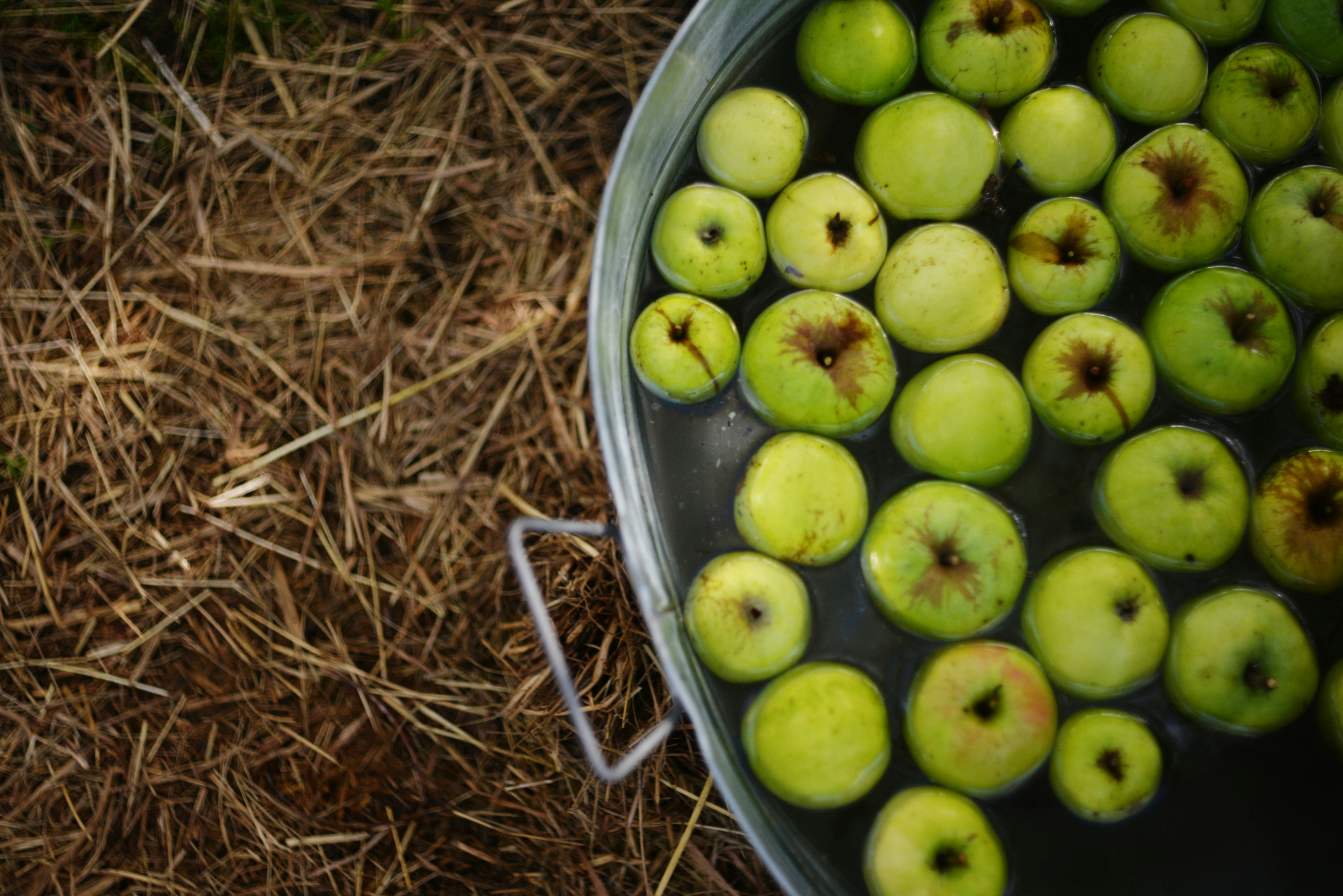 The Importance of Winter Nutrition: Preparing Your Diet for Cold Weather