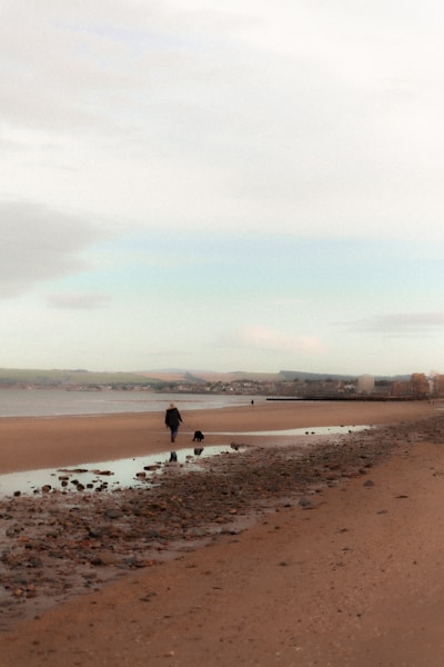 Best Dog Walks in Cornwall: Coastal Paths and Hidden Beaches