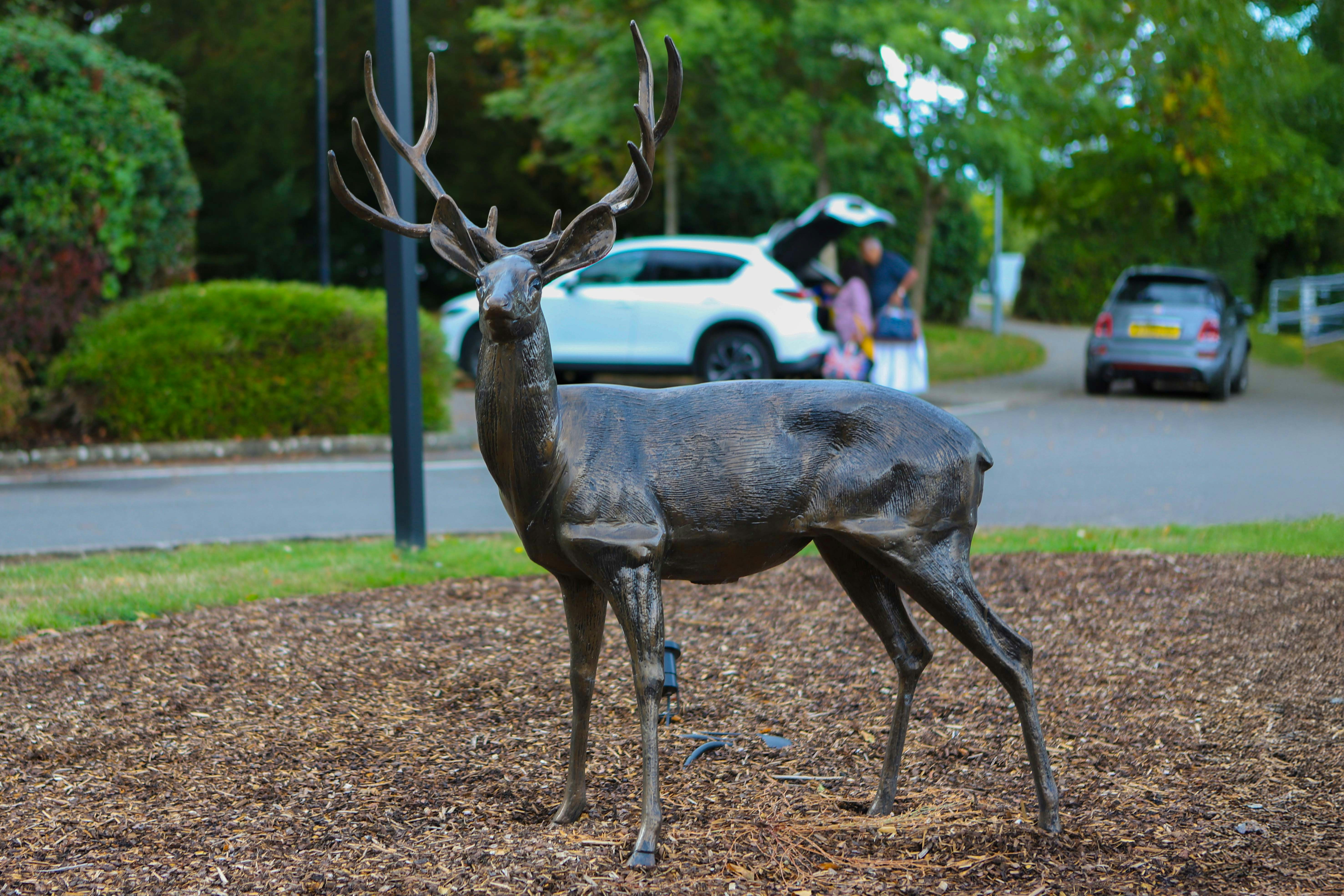 Bronze deer statue in park with cars behind