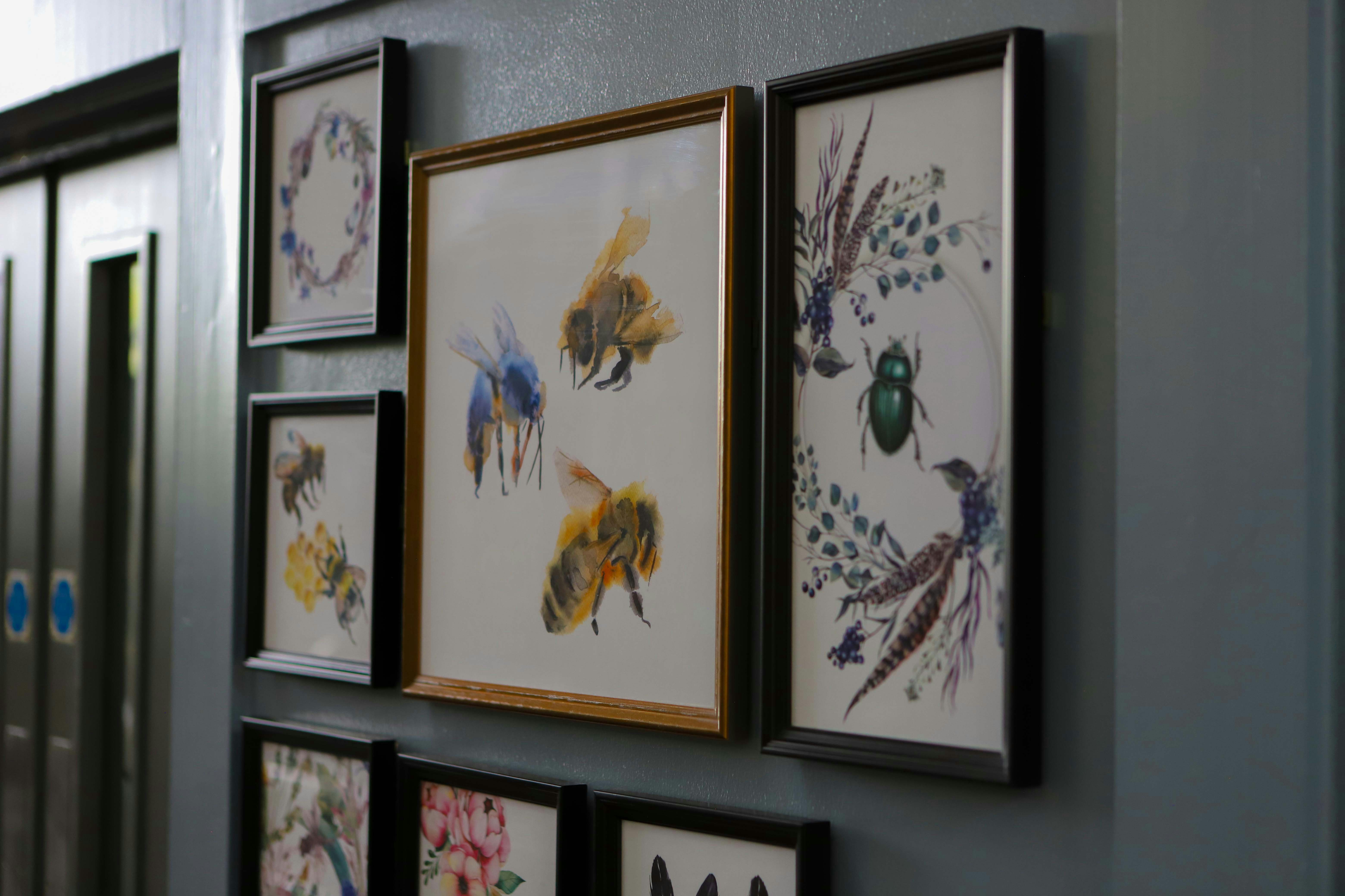 Framed artwork of bees and insects on wall.